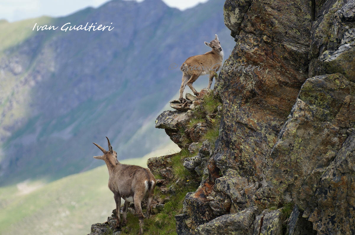 Hello Mom, I'm going