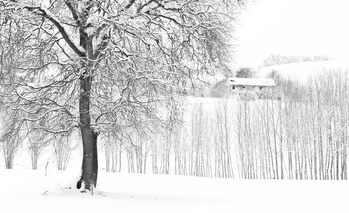 La campagna abbandonata