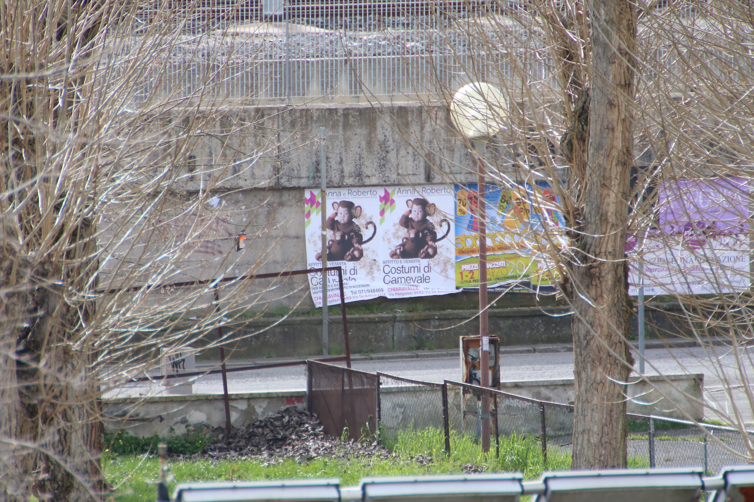 manifesto - full image