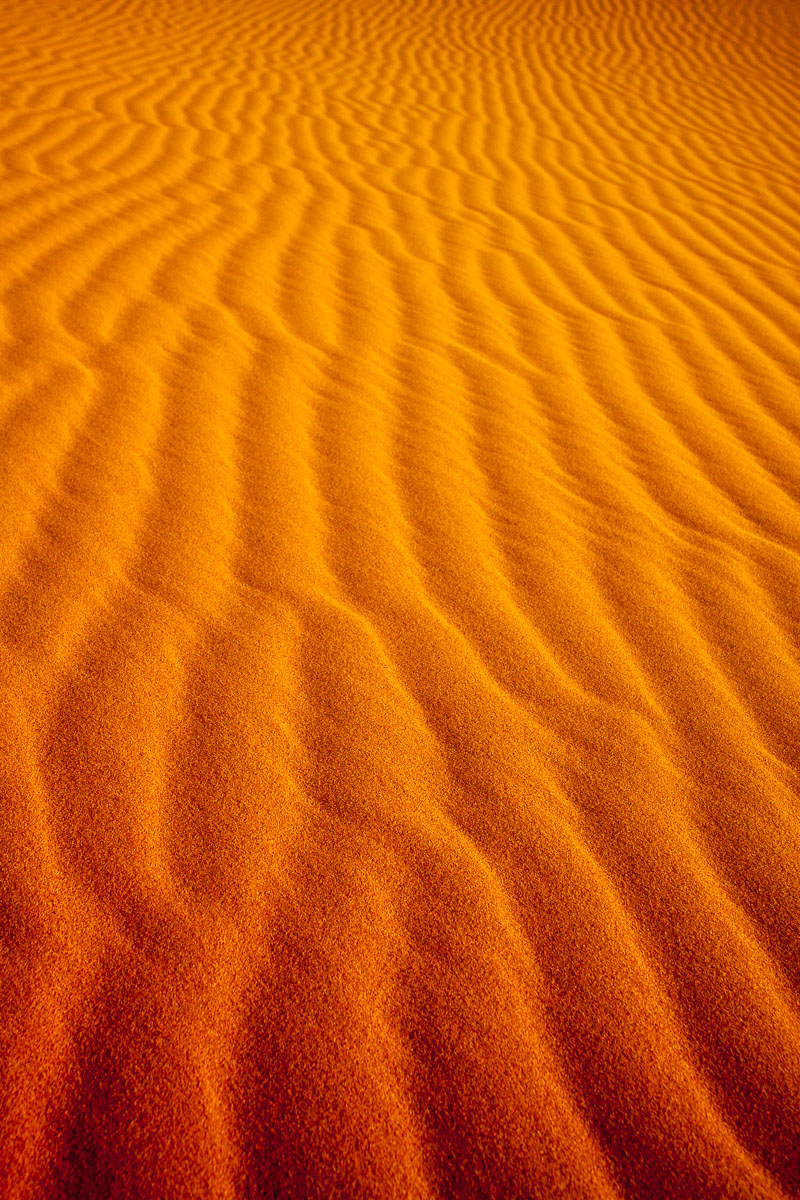Sahara Sand Texture