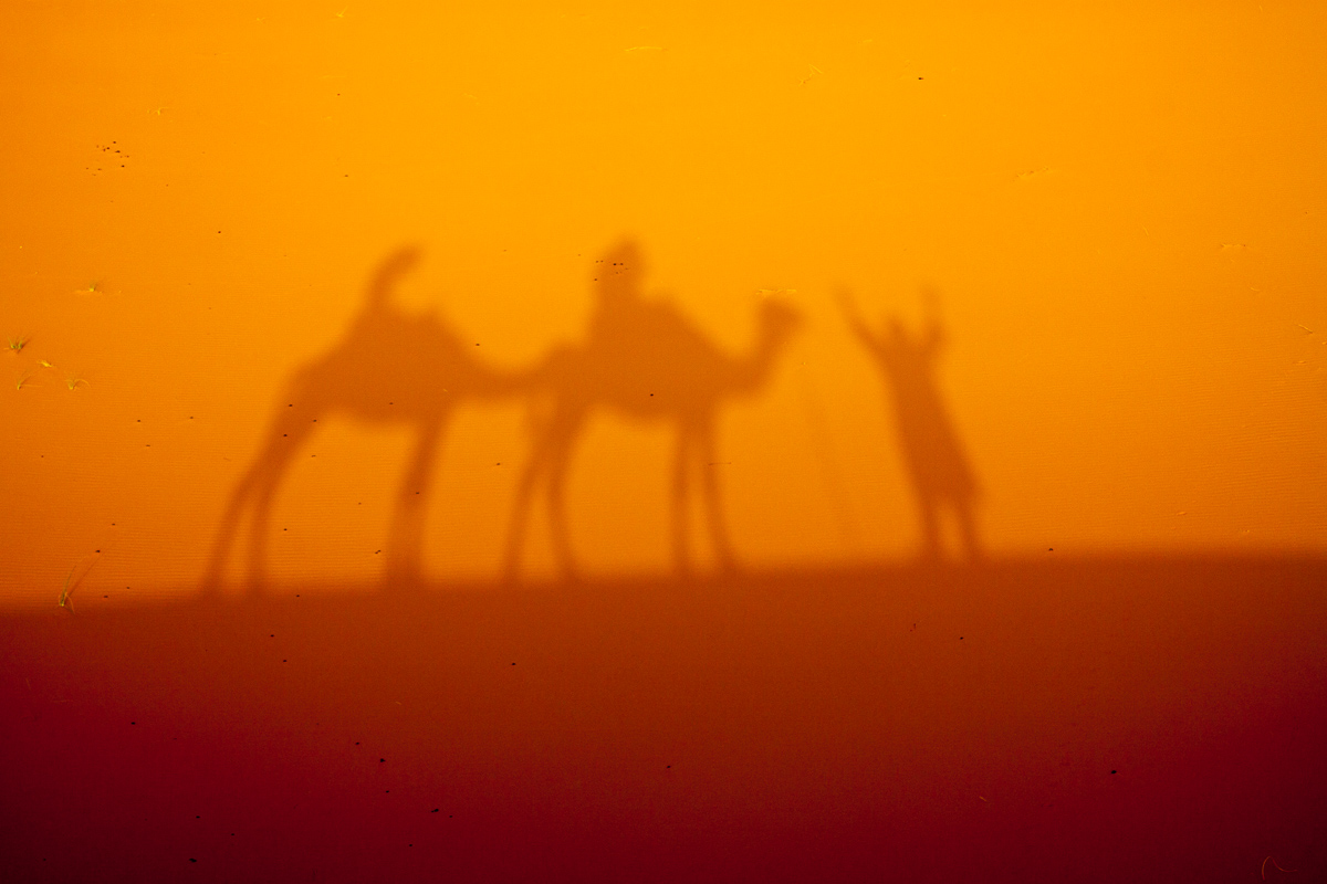 Impressioni di cammellata