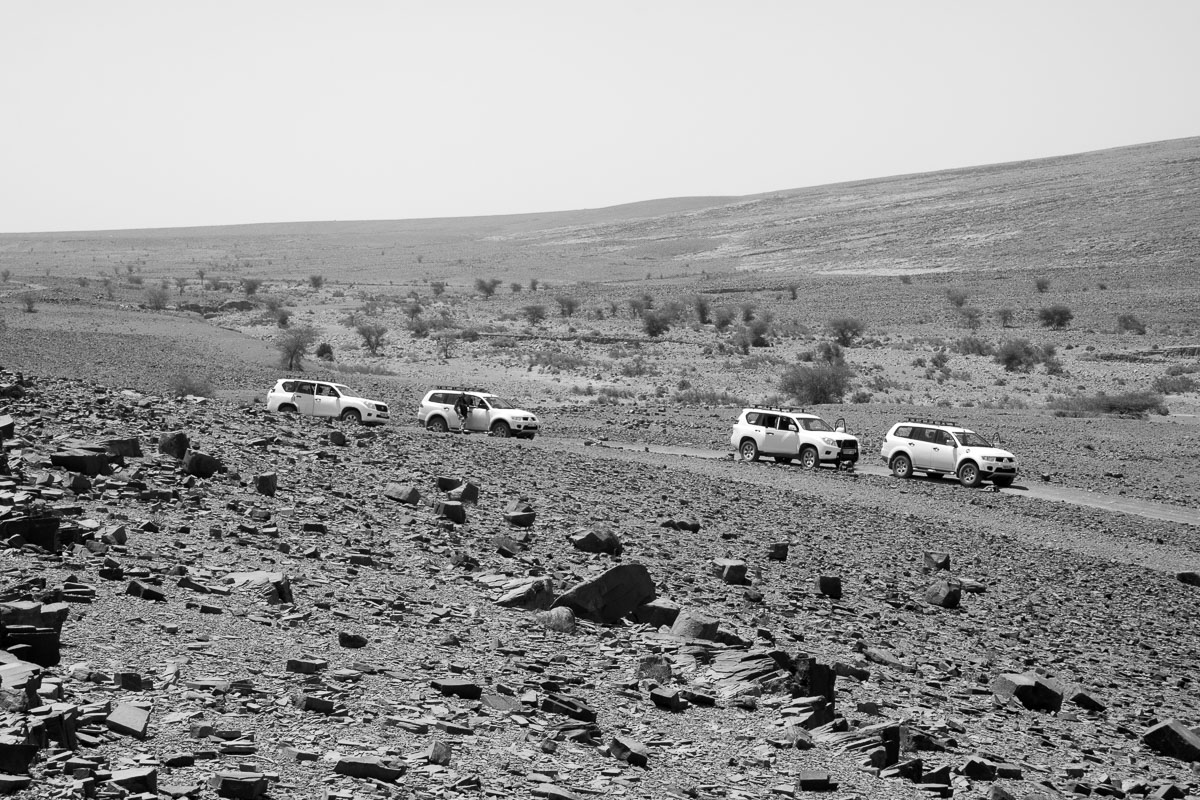 A spasso per il fiume