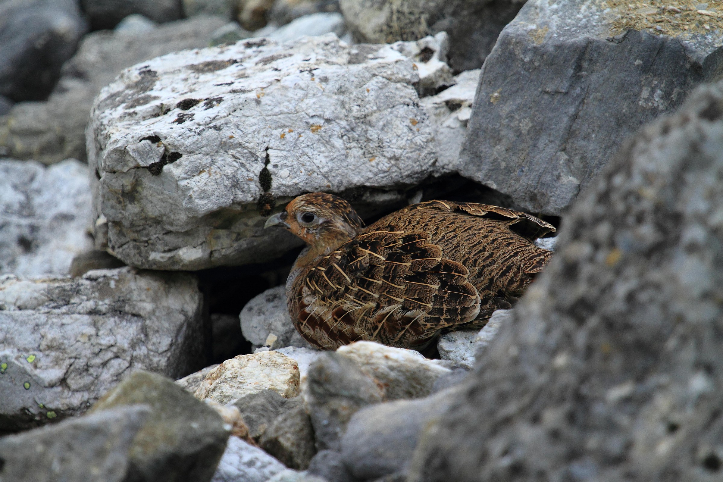 incontro meno inaspettato