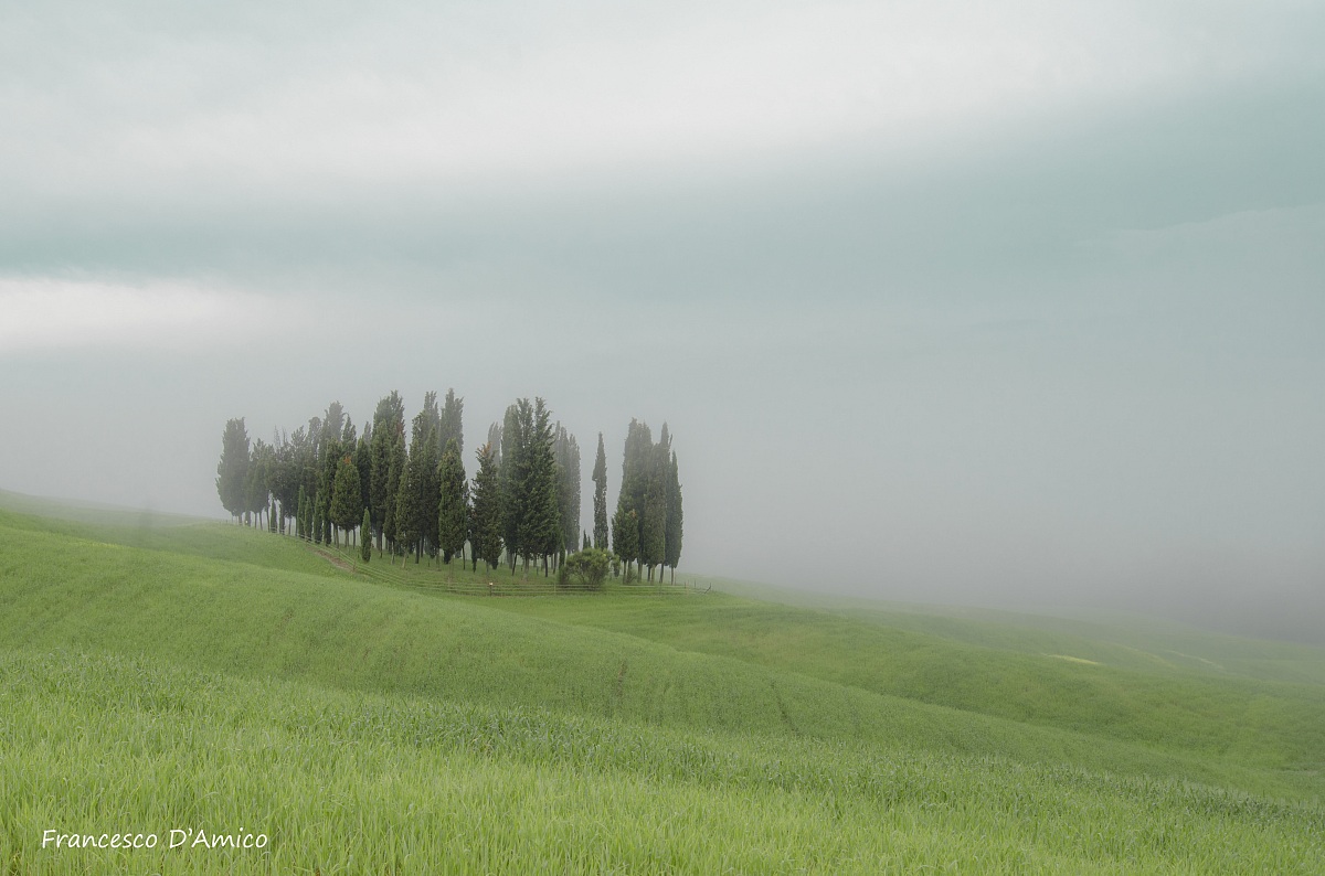 The cypresses of San Chirico d'Orcia