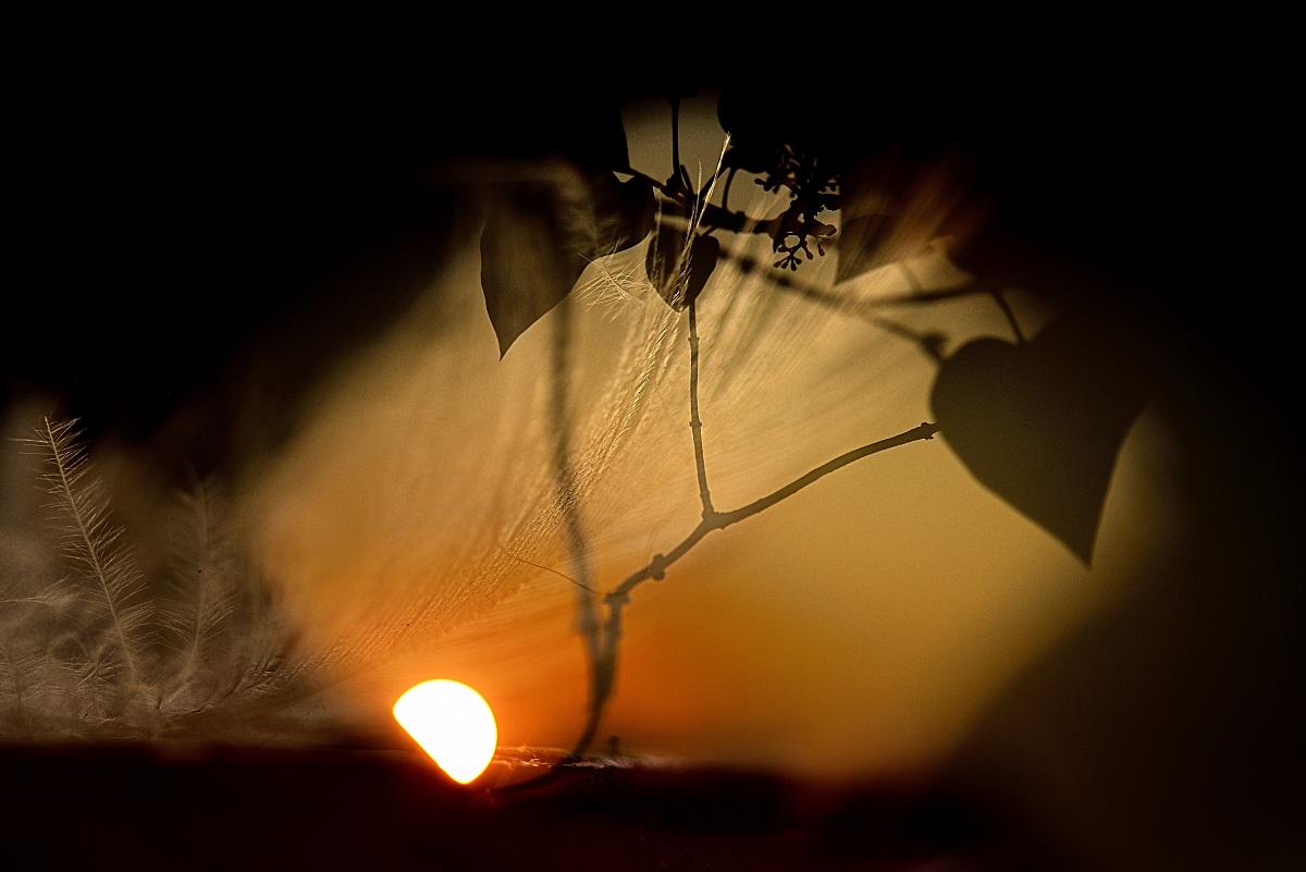 Music .. for those who sleep and those who awakens ... (Neru...