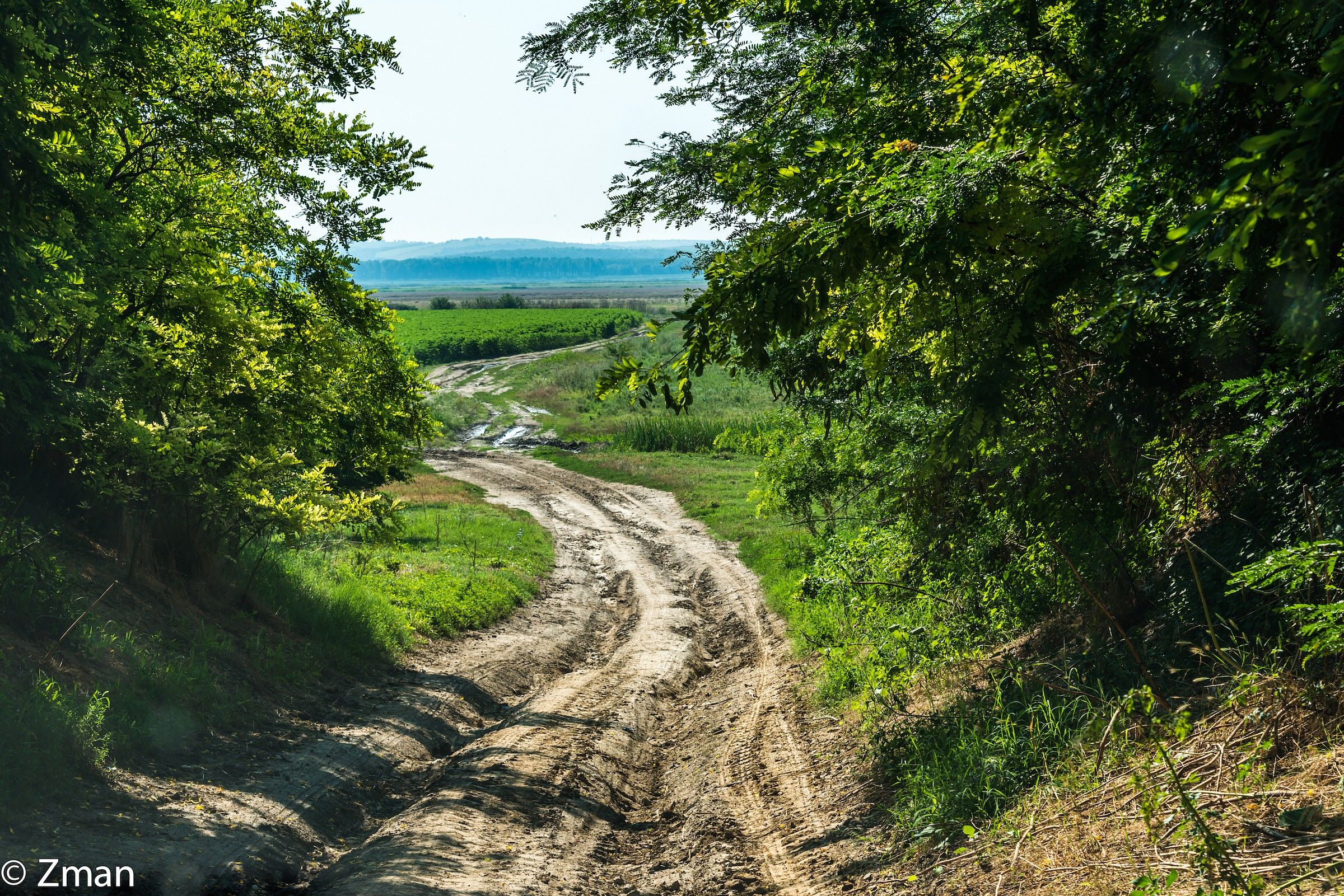 Going To The Harvest Fields