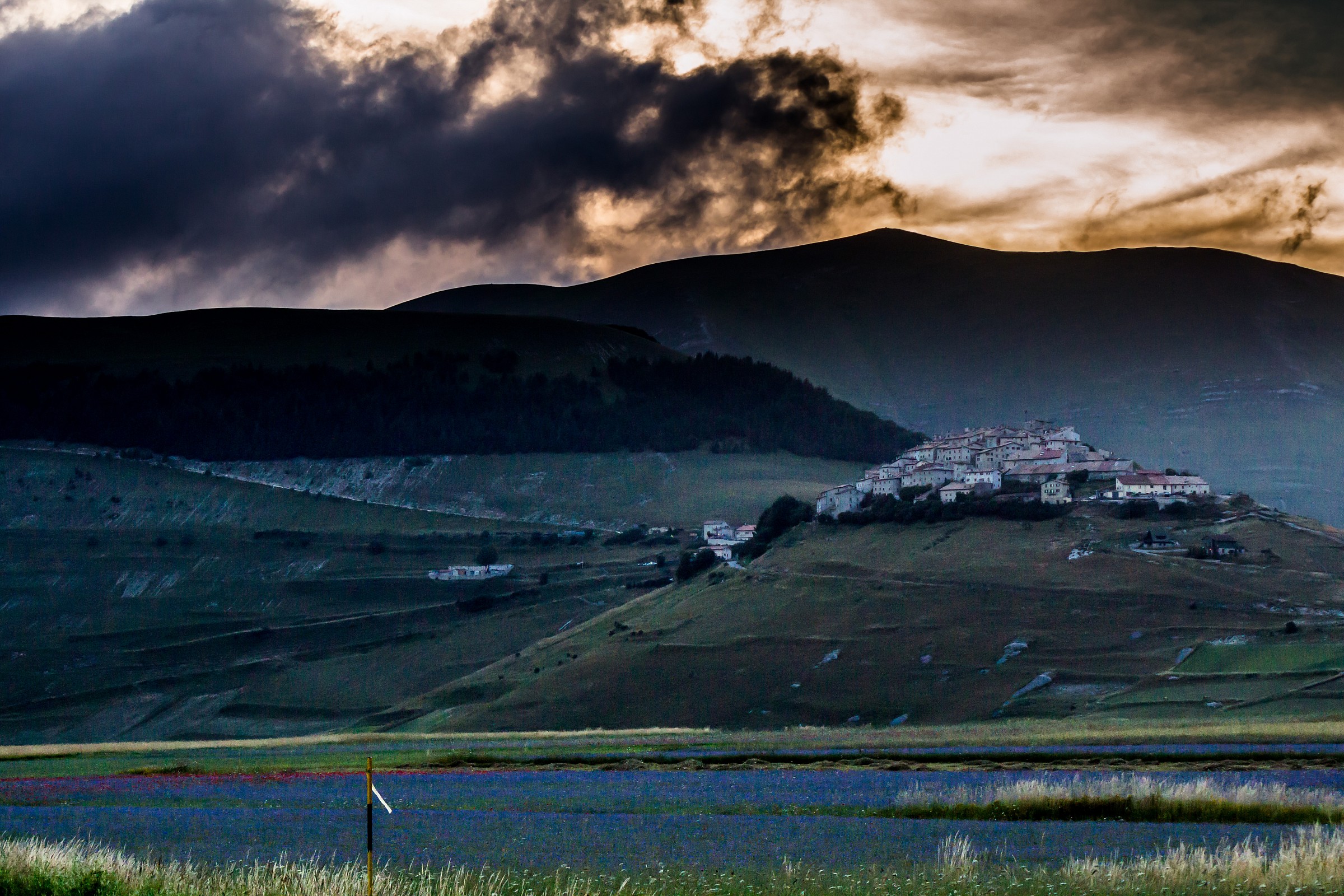 Castelluccio 2014