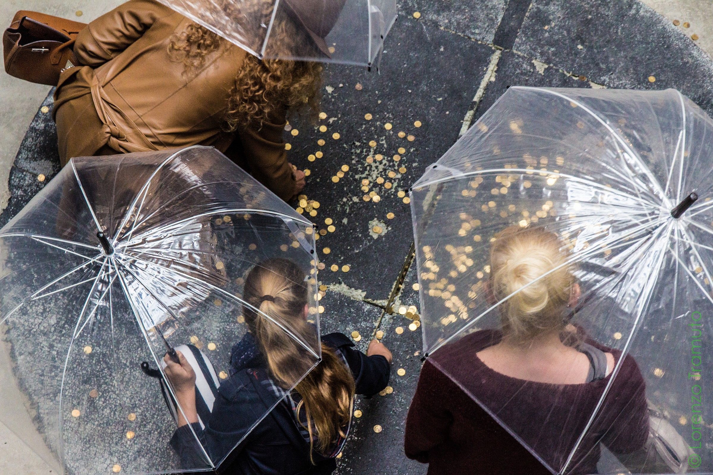 Rain of coins at the Venice Biennale