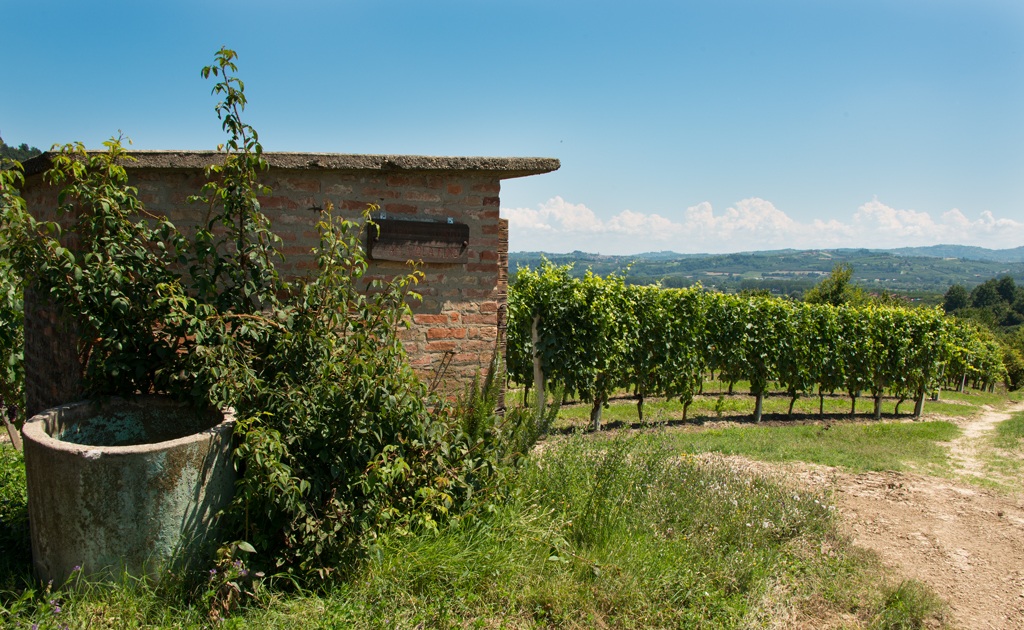 Ciabot in Magliano Alfieri