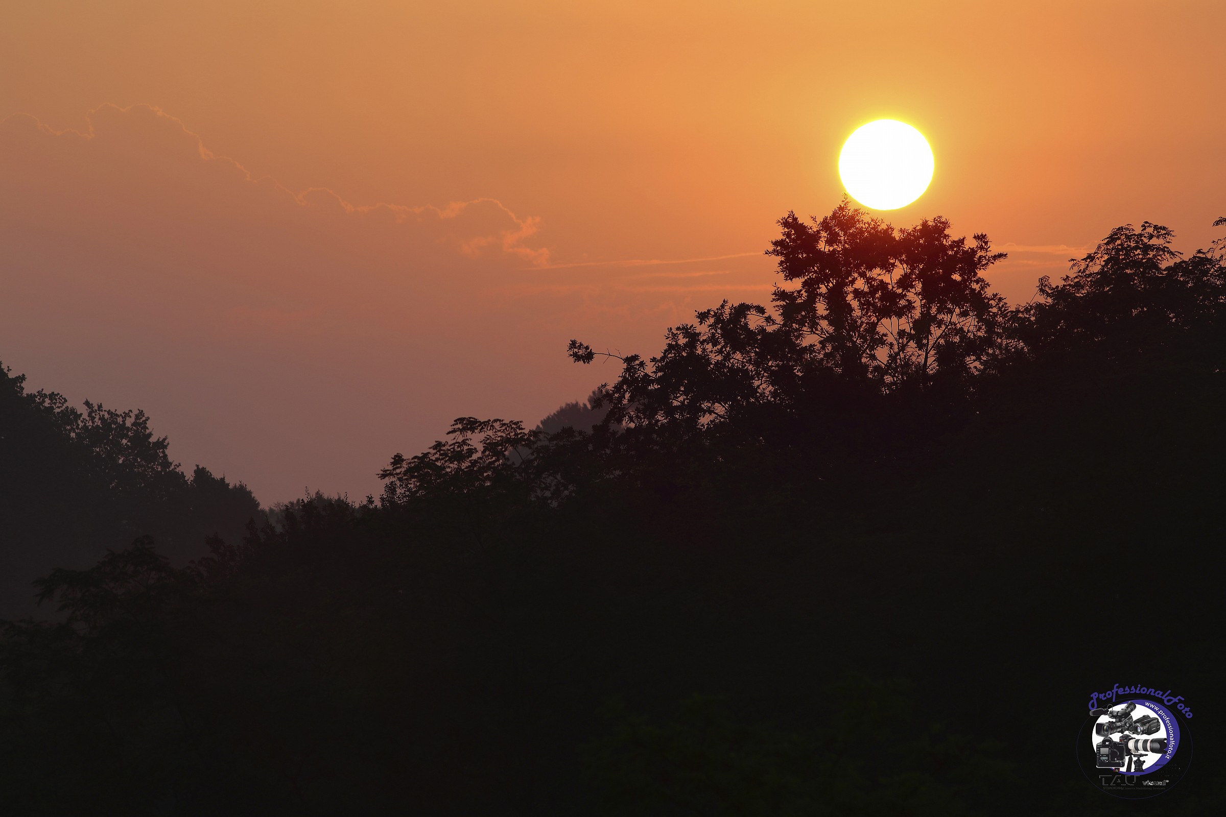 Sunrise by the Window