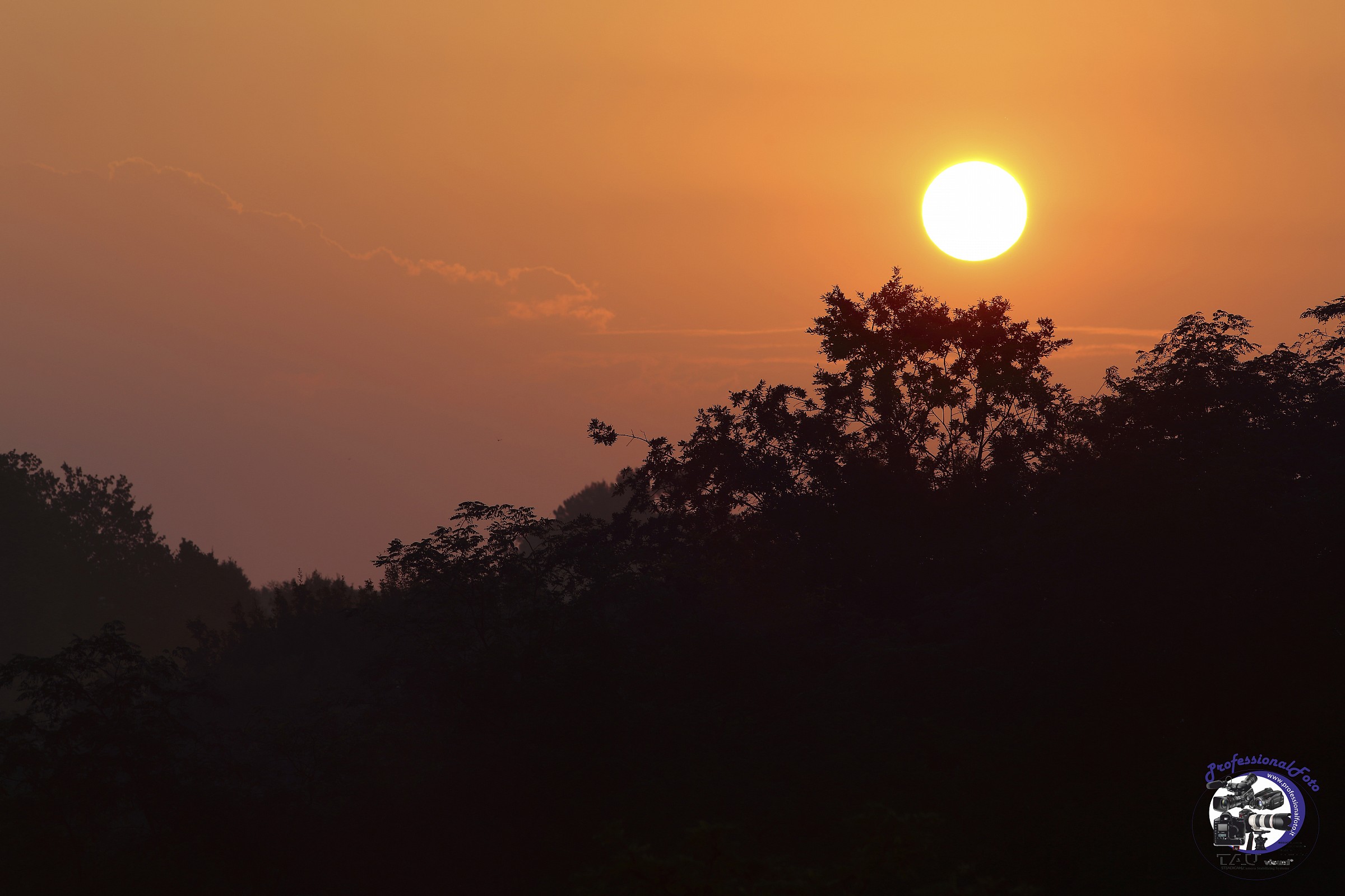 Sunrise by the Window