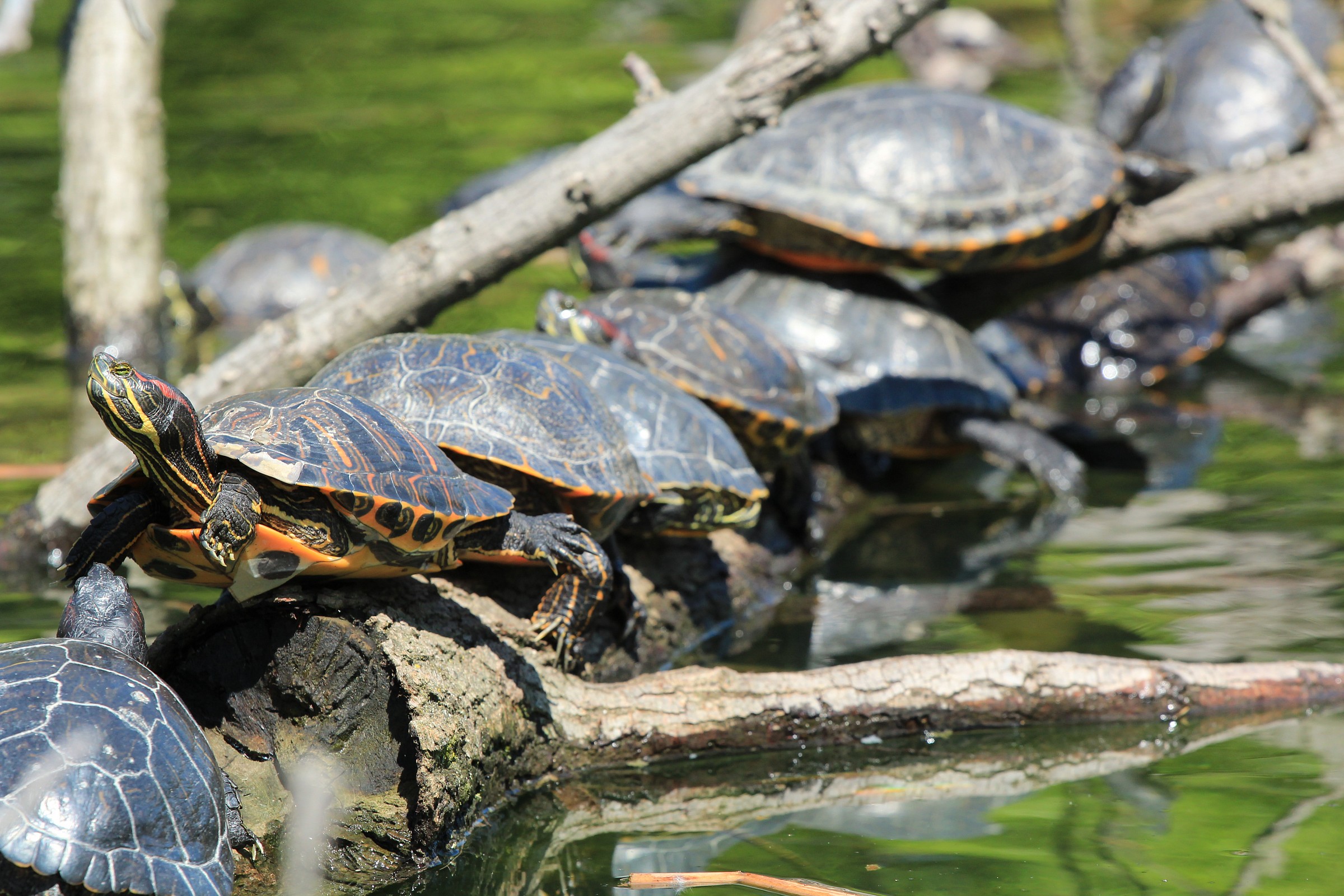 Ma la crema solare.. l'avrò messa?