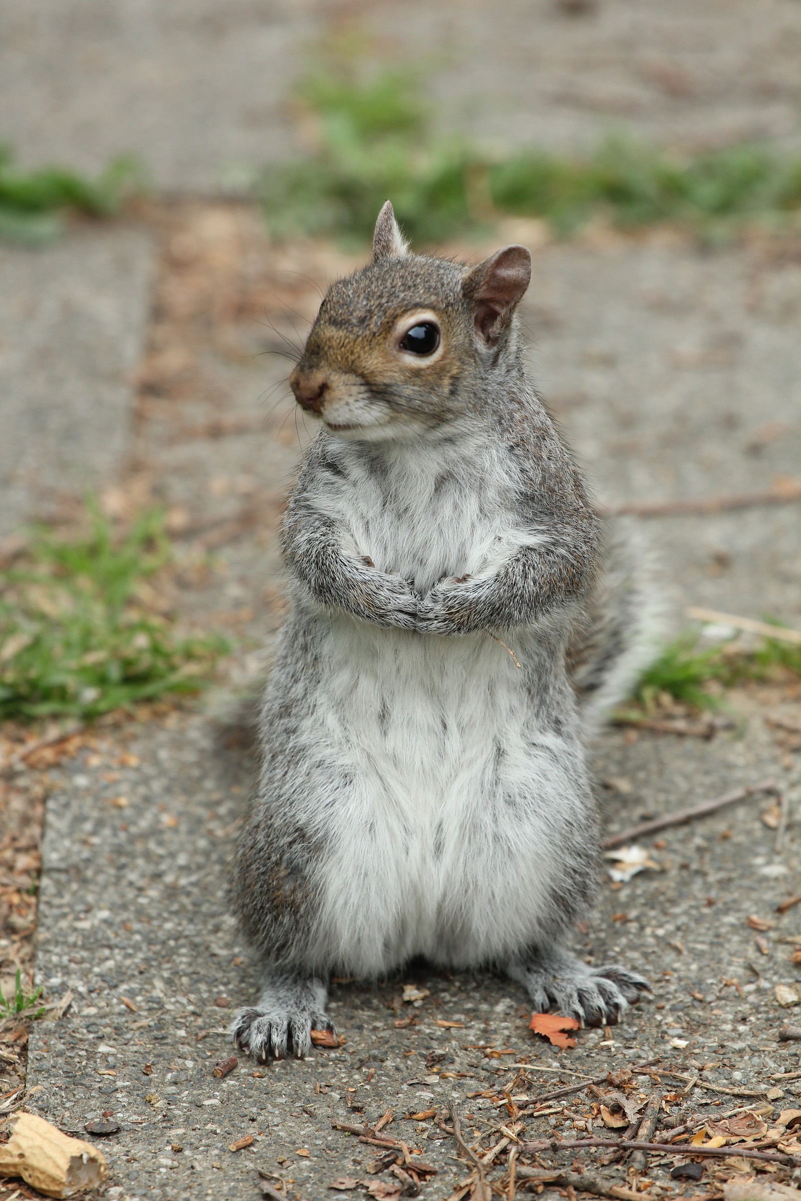 E adesso cosa faccio?