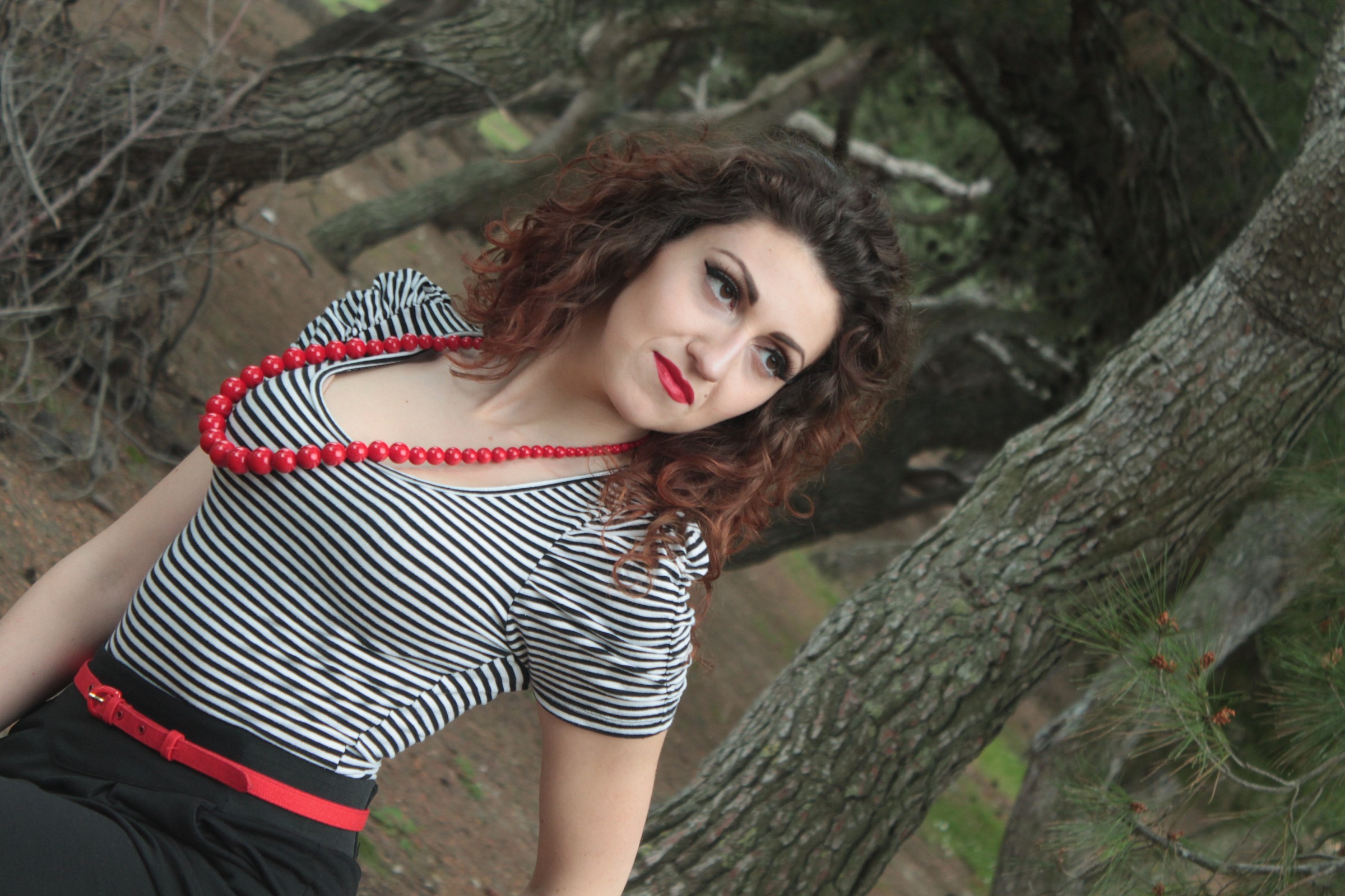 ombra sotto l'albero