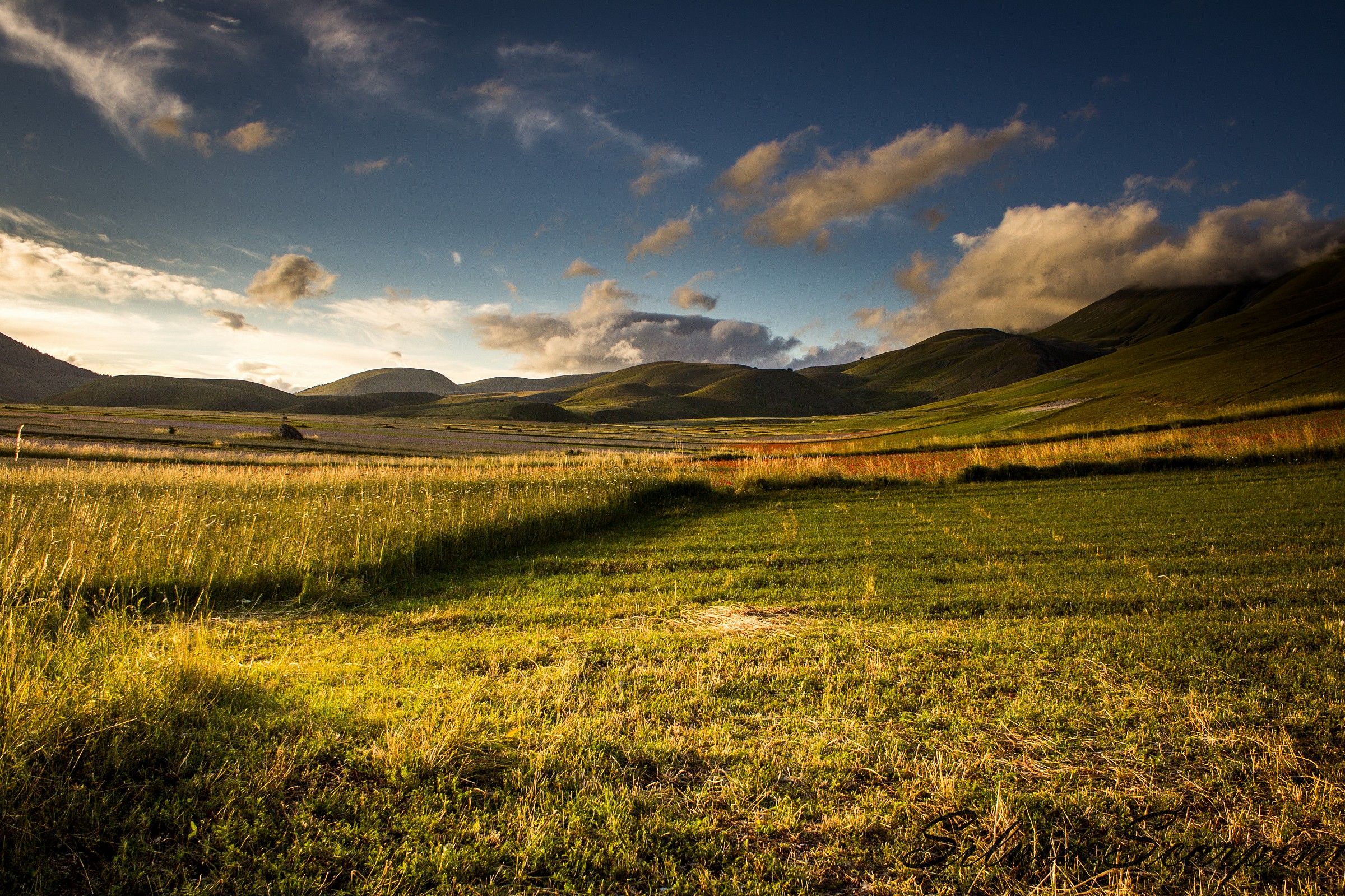 Piana di Castelluccio