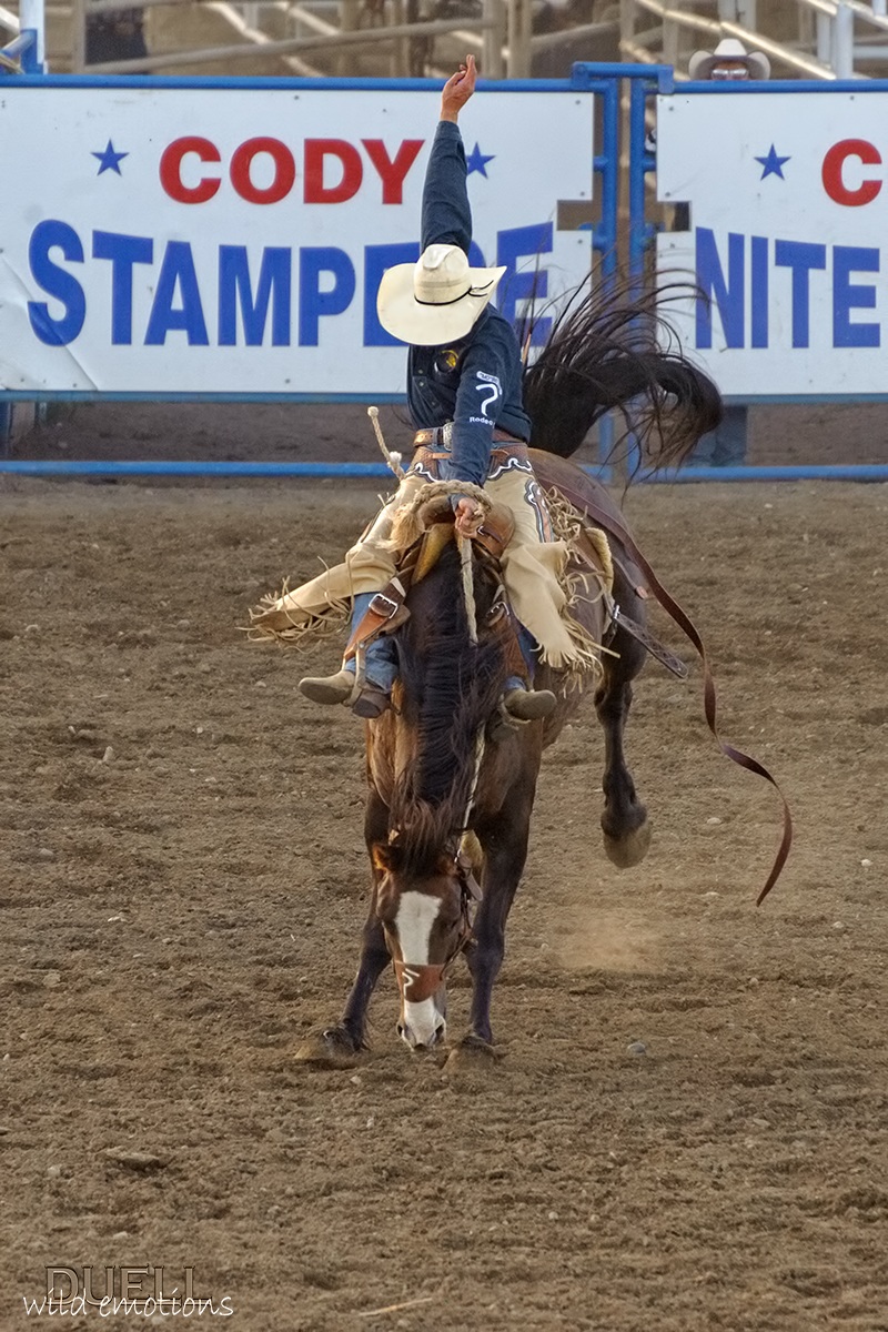 Cody Night Rodeo