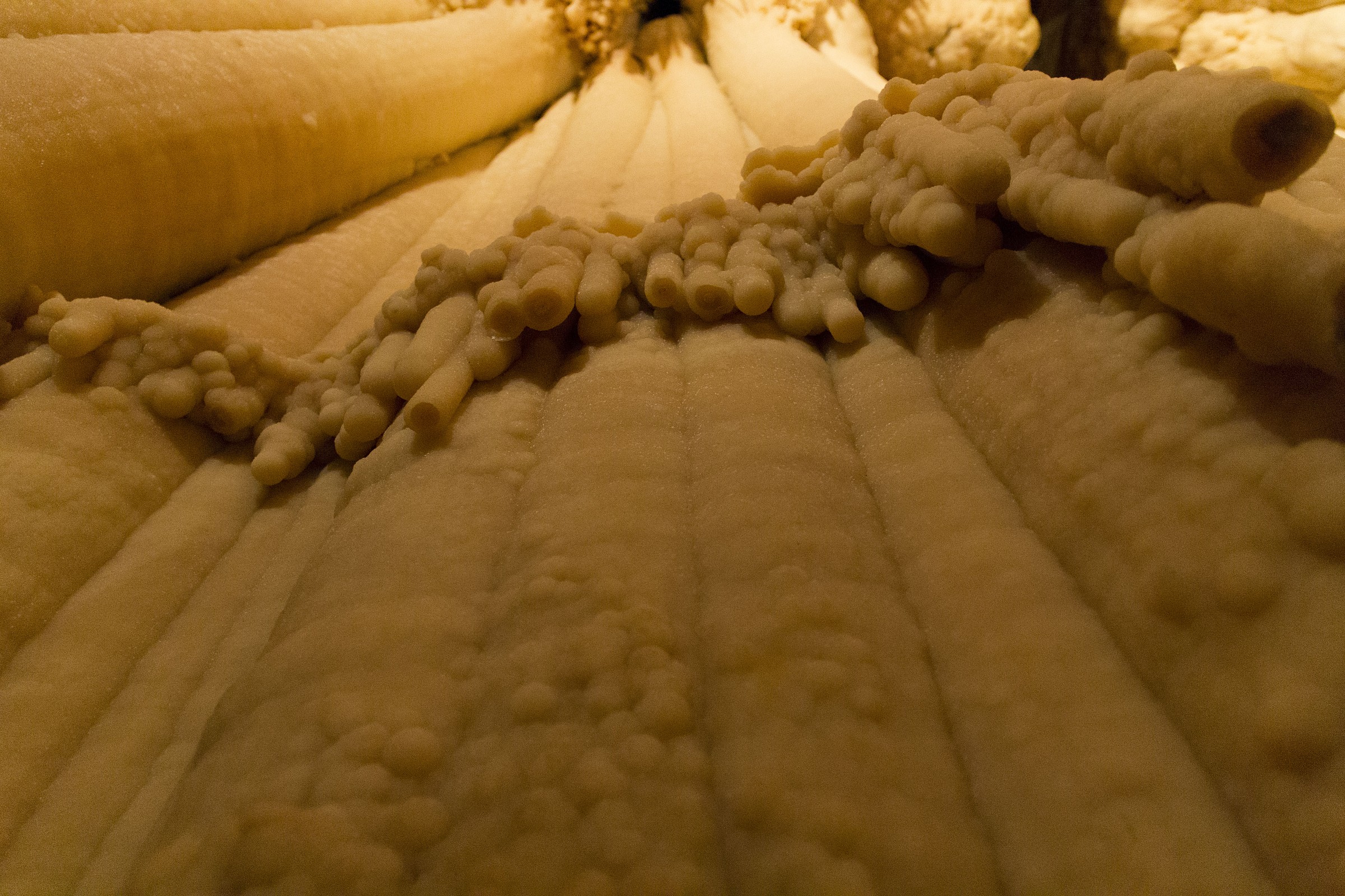 Organo a canne naturale?