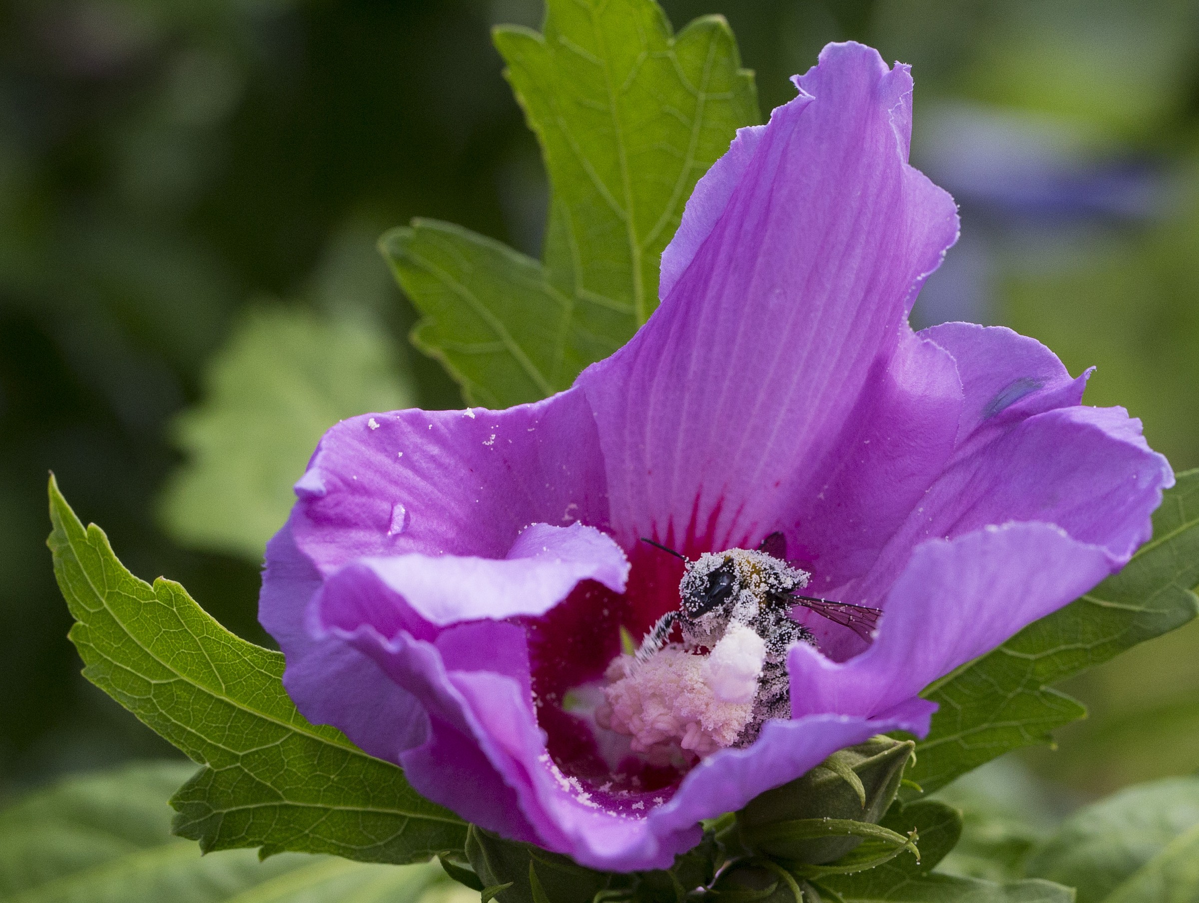 This time I ate too much ....