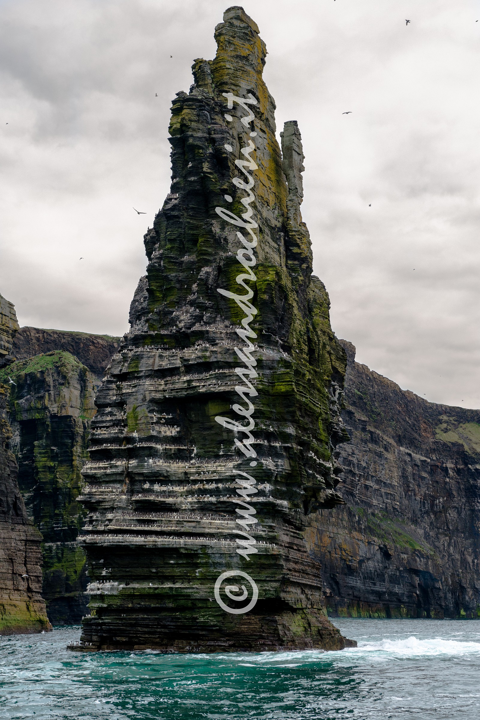 Guardian of the Cliff