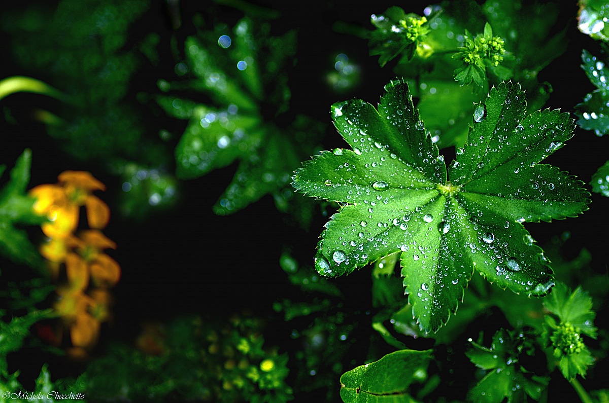 Like tears in rain ...