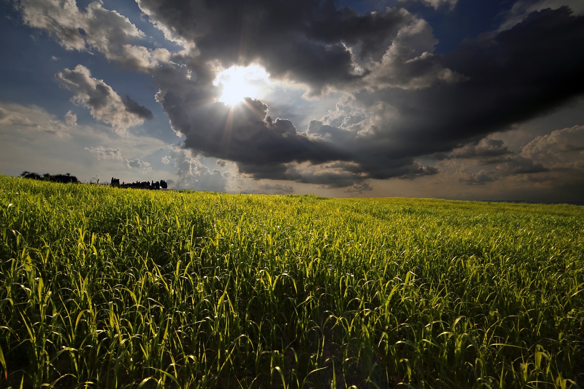 Yesterday evening? (In the Val d'Orcia)