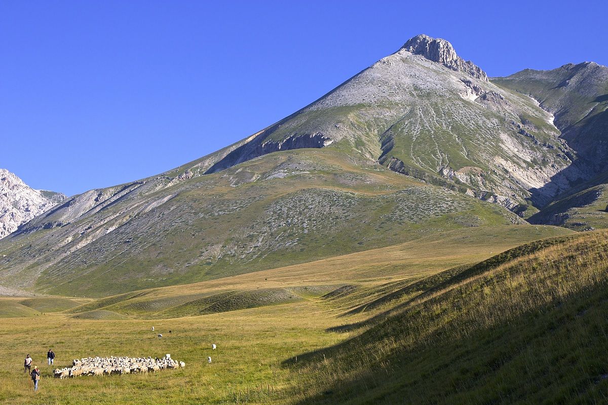 scendono dalla montagna