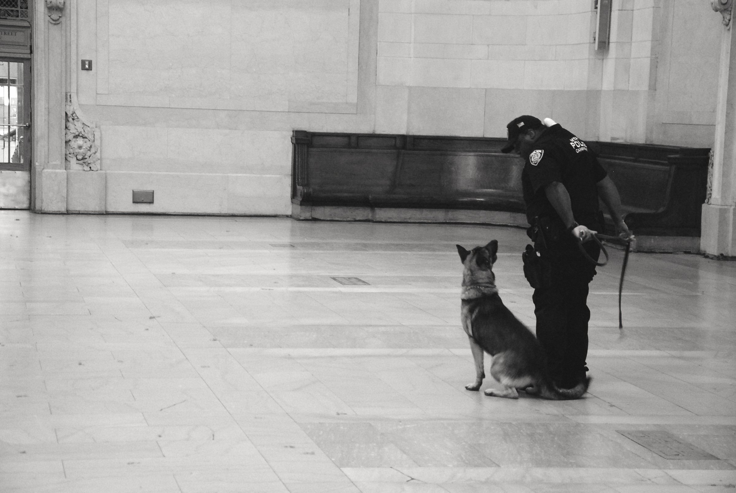 policeman and his dog