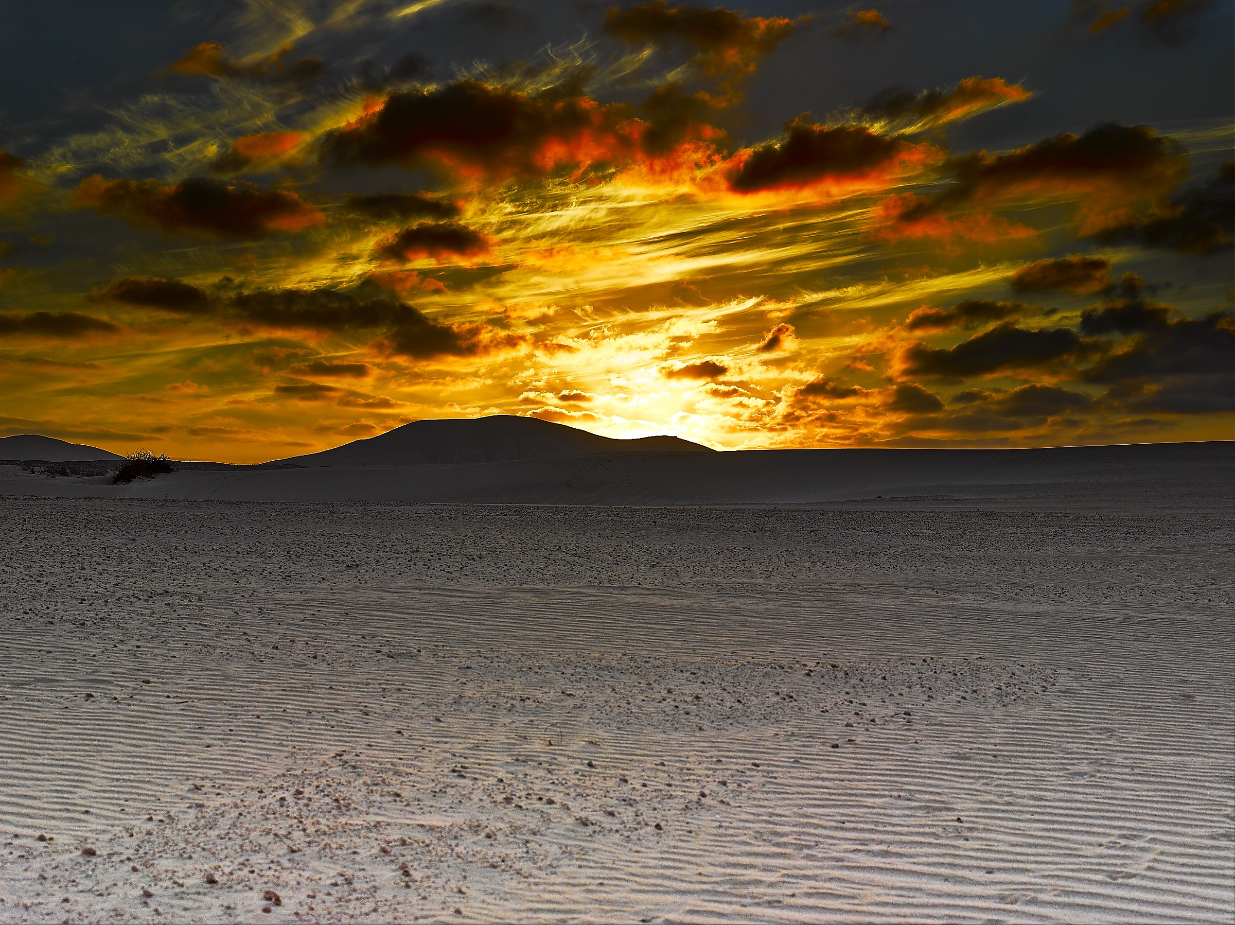 sunset over the desert