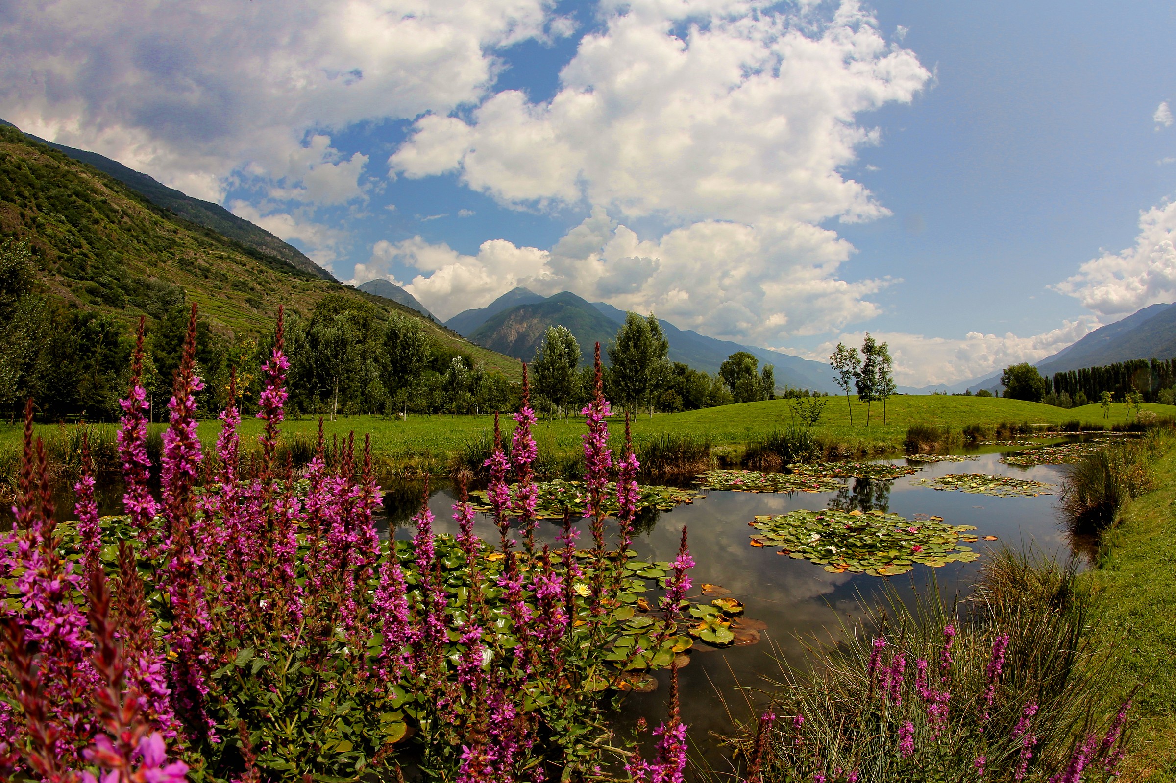 park Bartesaghi Sondrio