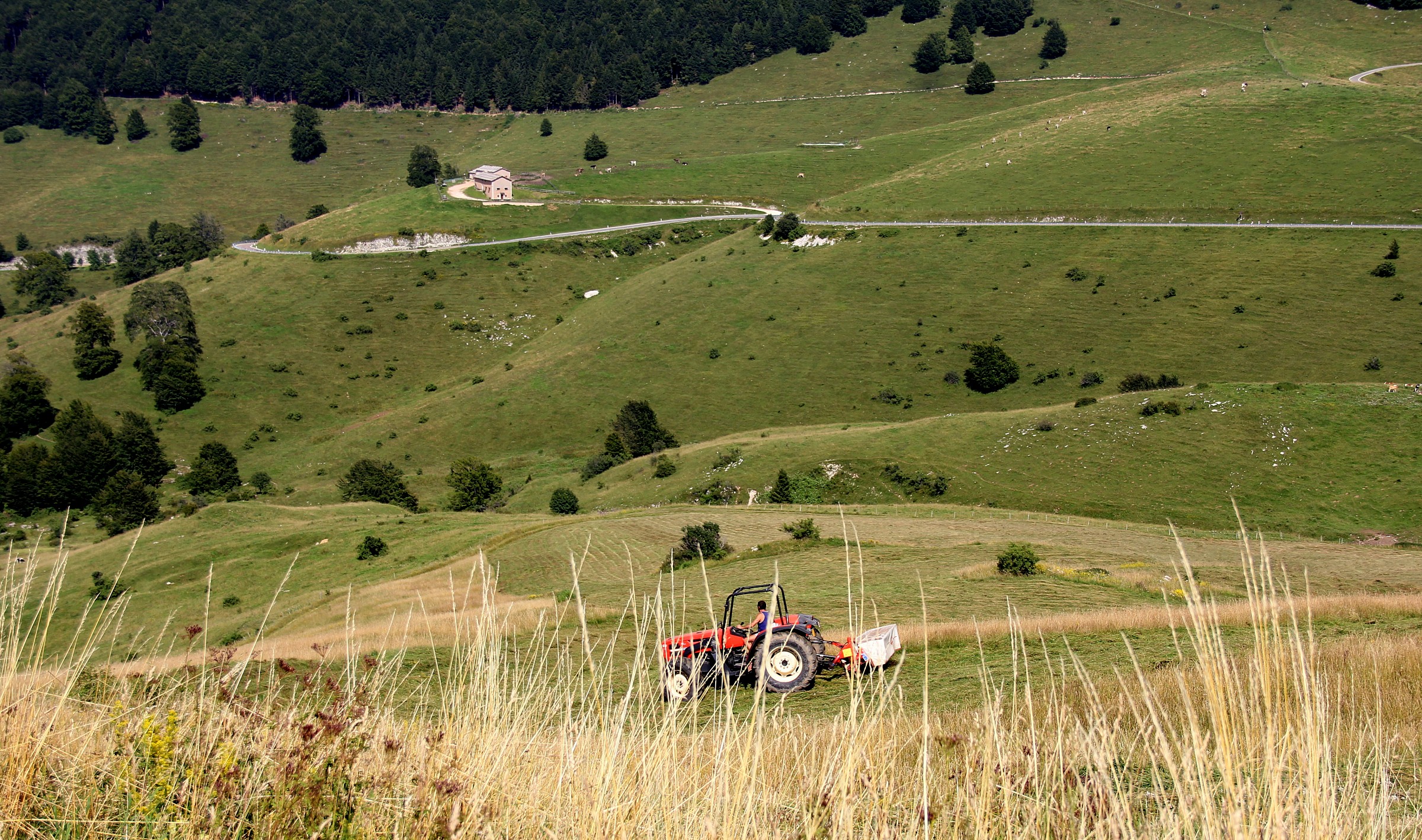 Prati della Lessinia e taglio del fieno