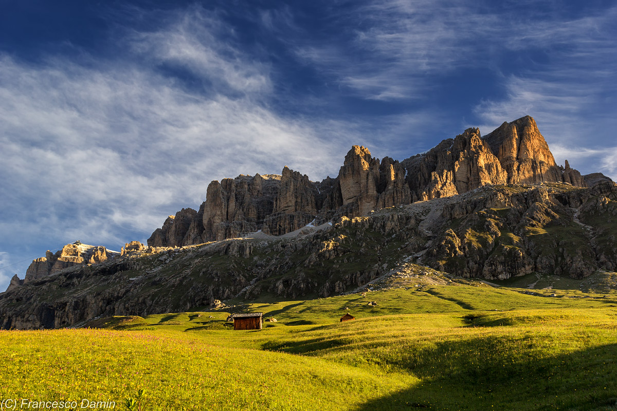 The warm morning light