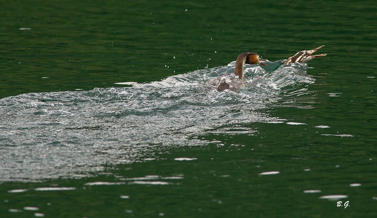 Mom teaches how you are in the world