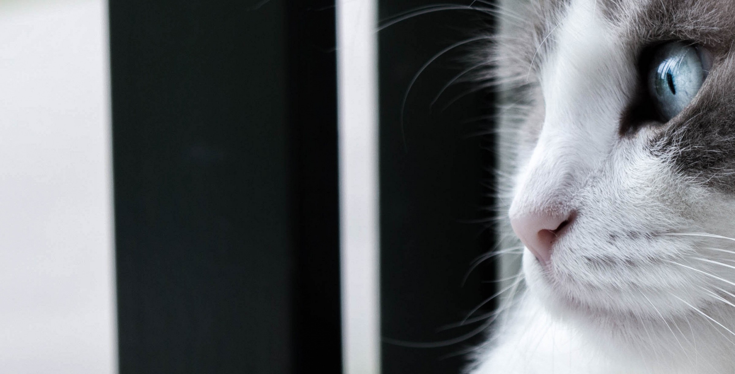 Photos of nikon D3200 test kit