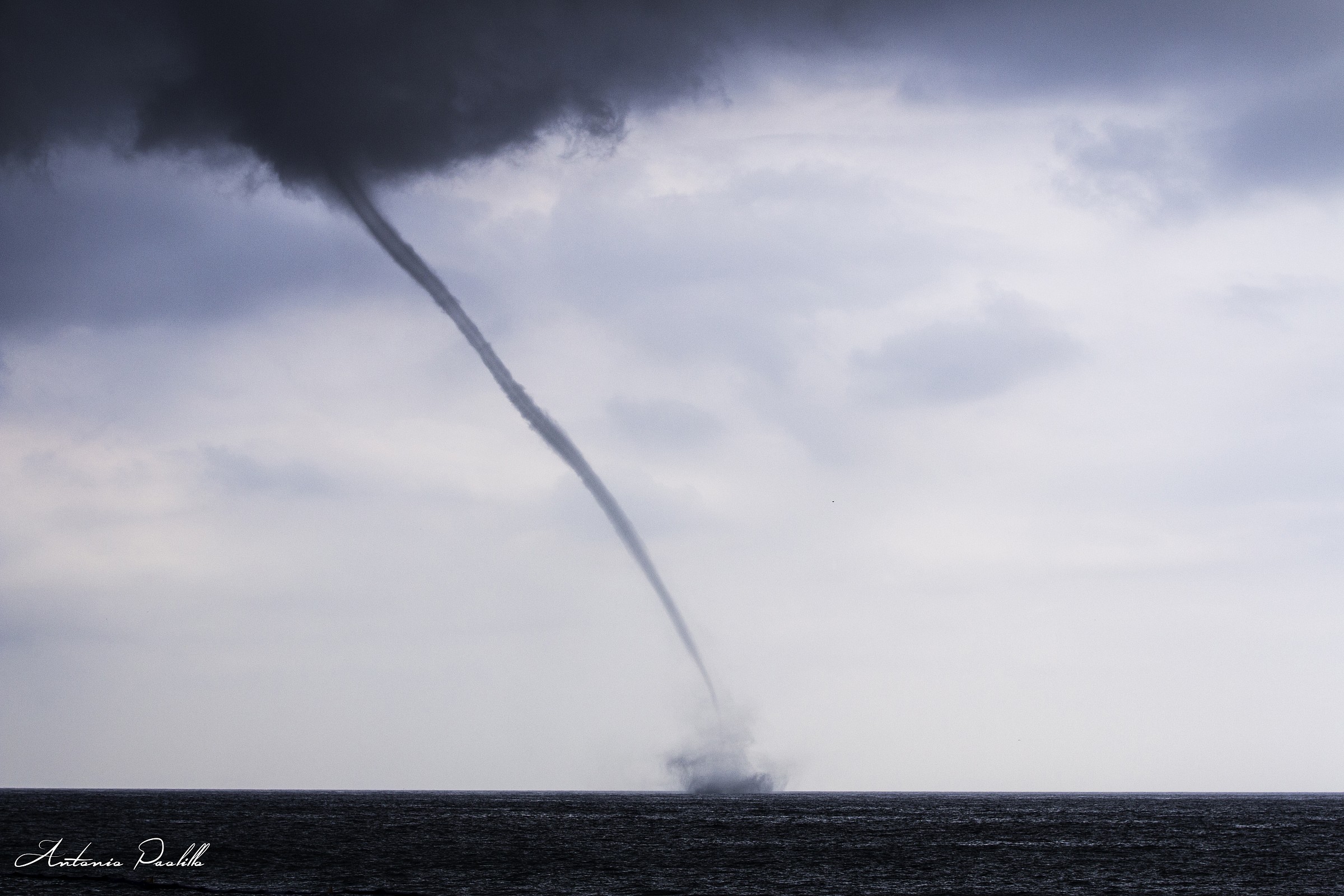 Her Majesty...The Nature