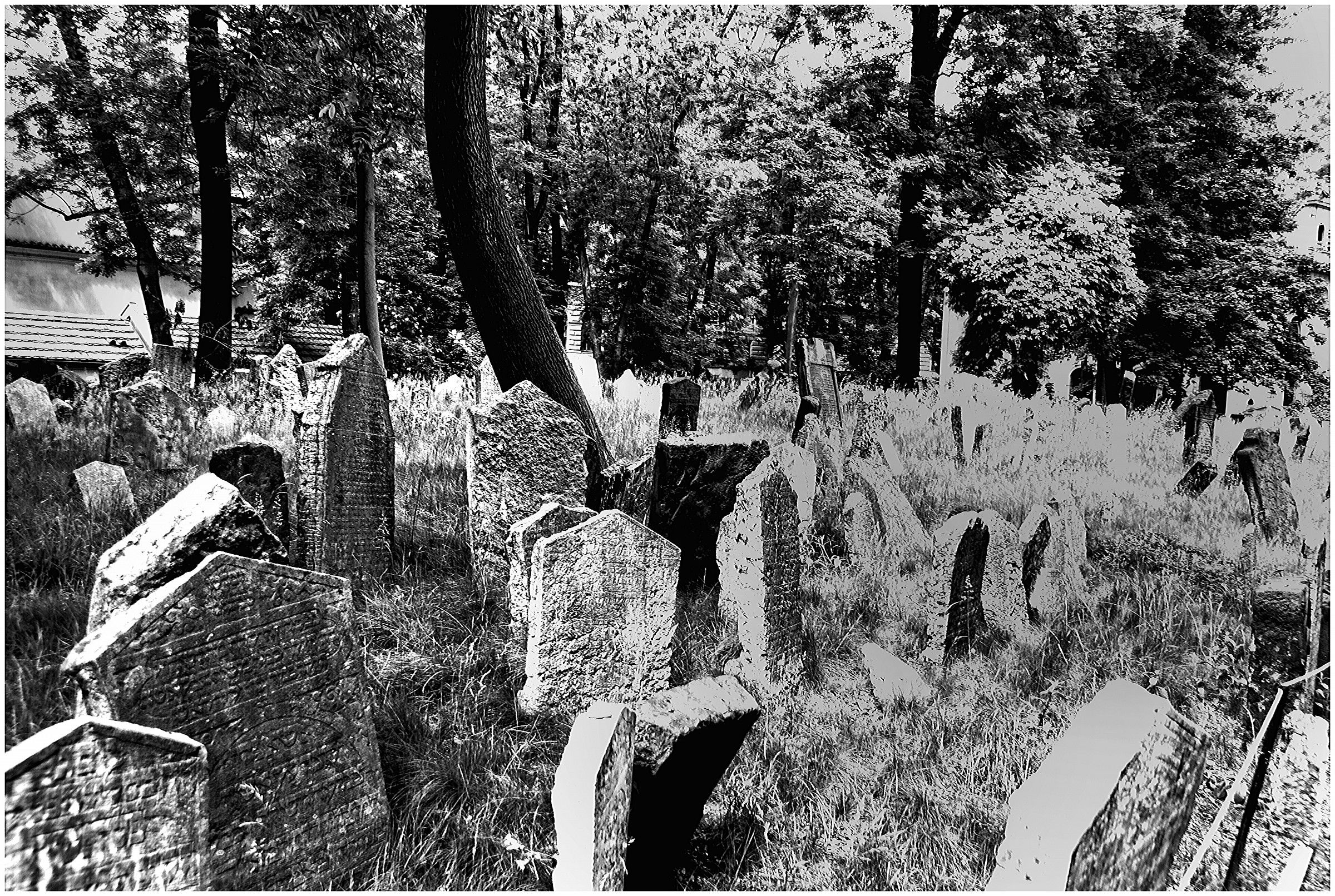 Praga cimitero Ebraico 6