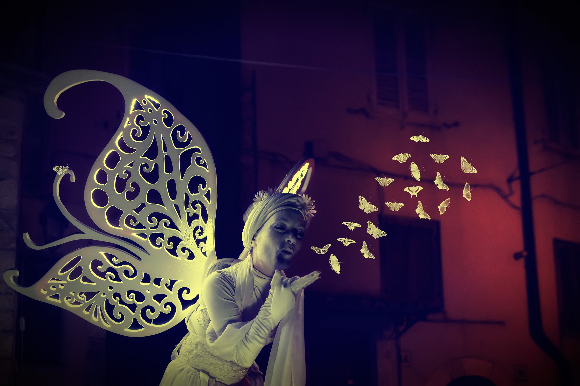 The fairy Enlightenment