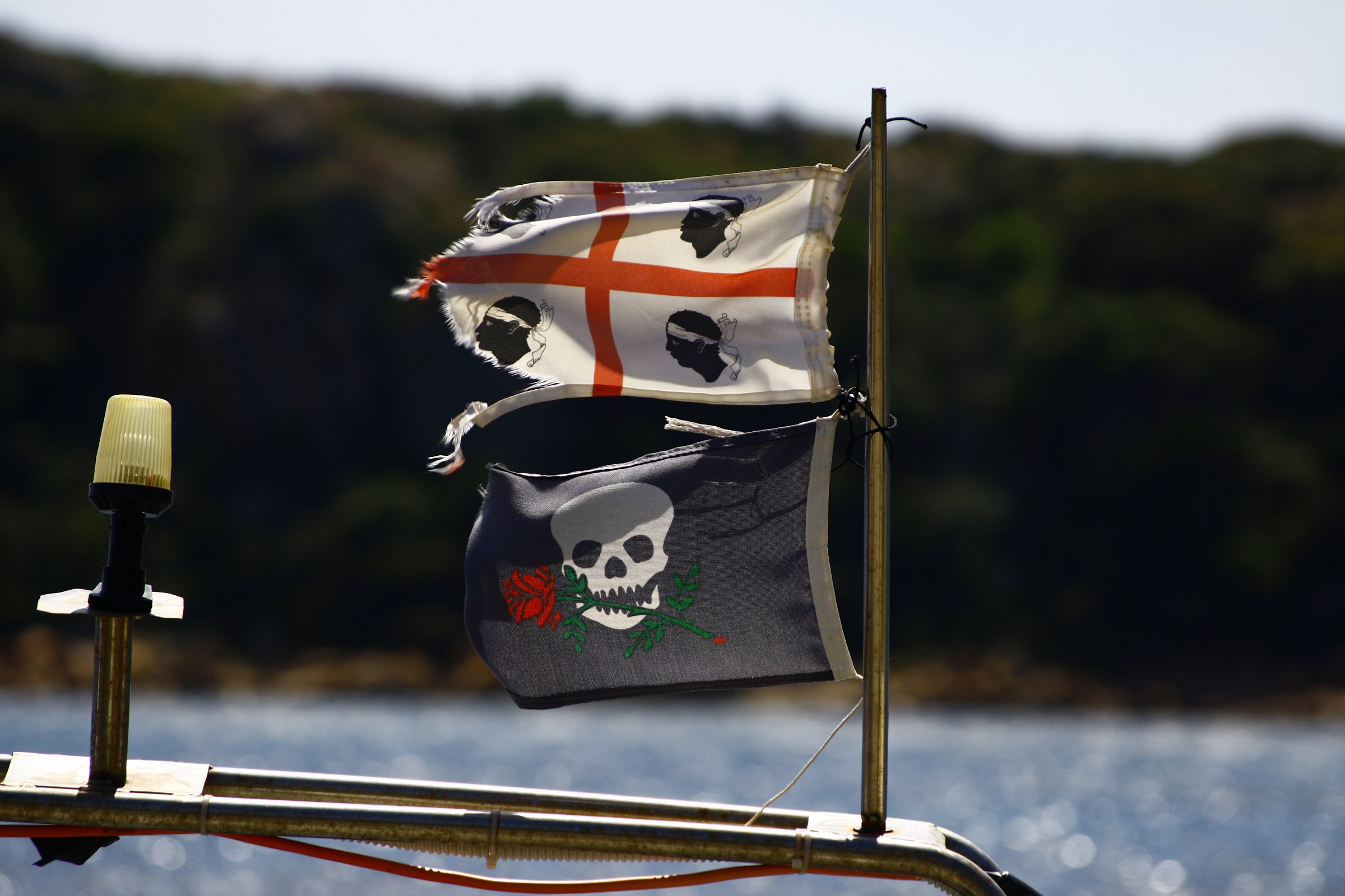 4 died and the Pirates