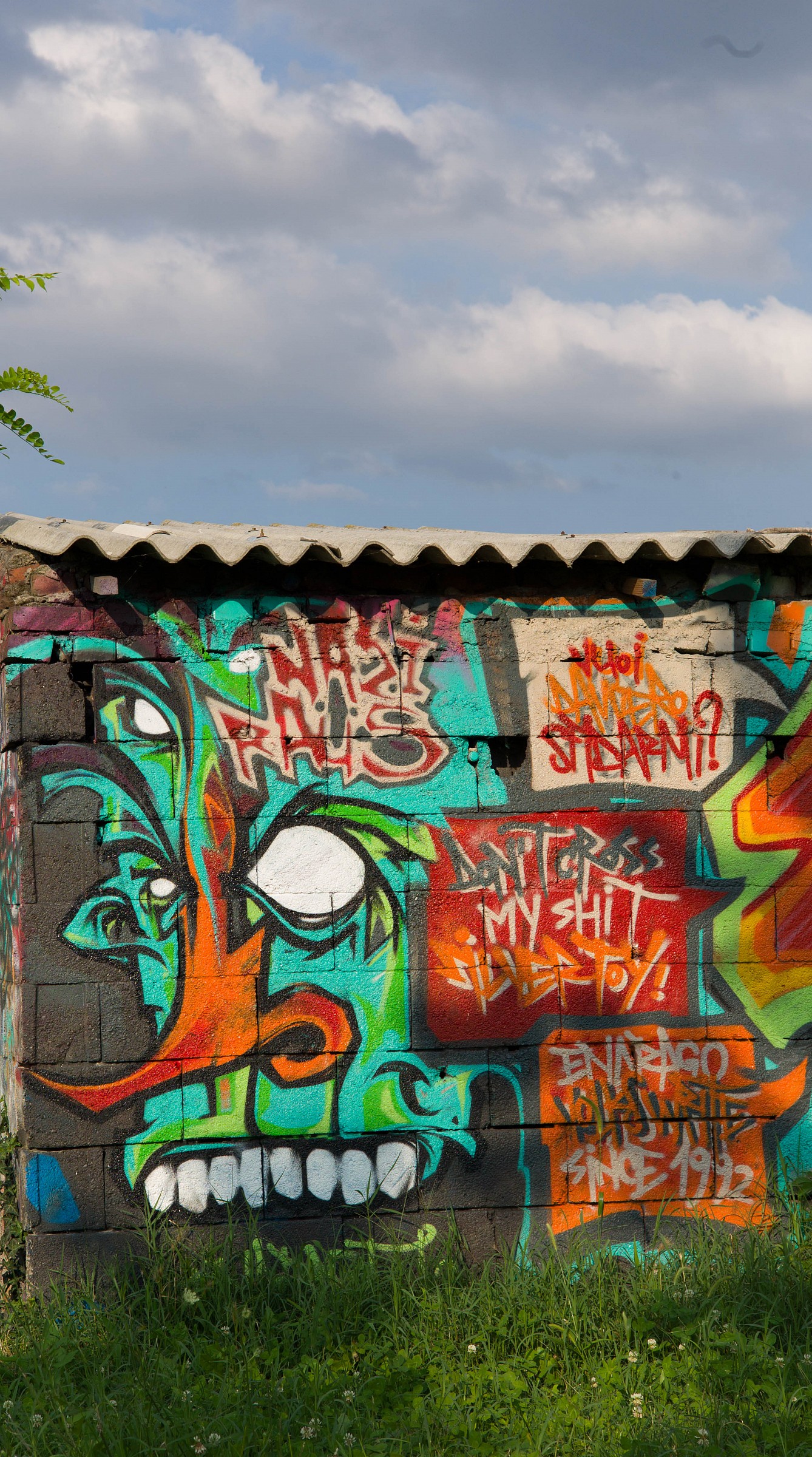 Un elfo nei prati, in attesa del temporale - Piazza Bil