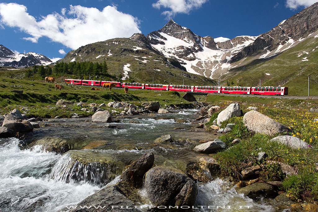 Bernina Express