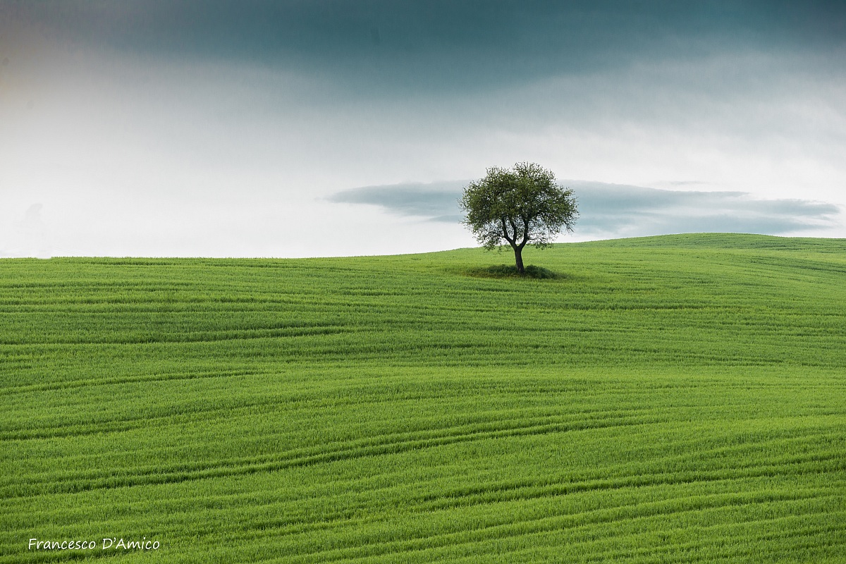 Solitude in Val d'Orcia