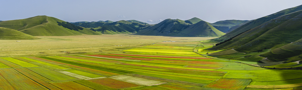 Fioritura, Castelluccio di Norcia