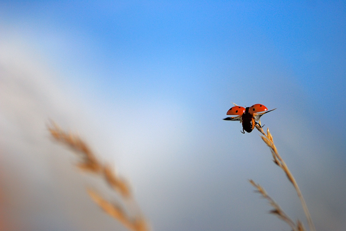 prepare for the impact