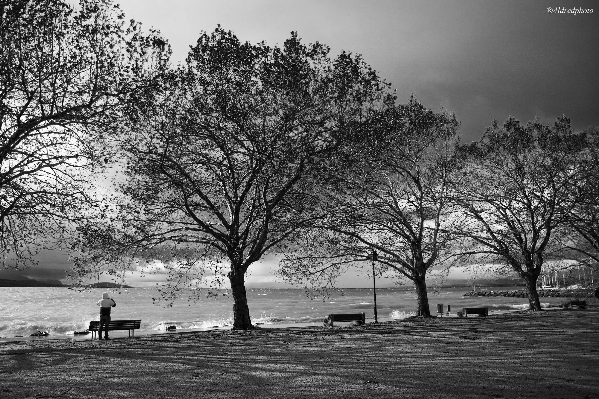 The shore of Lake Geneva