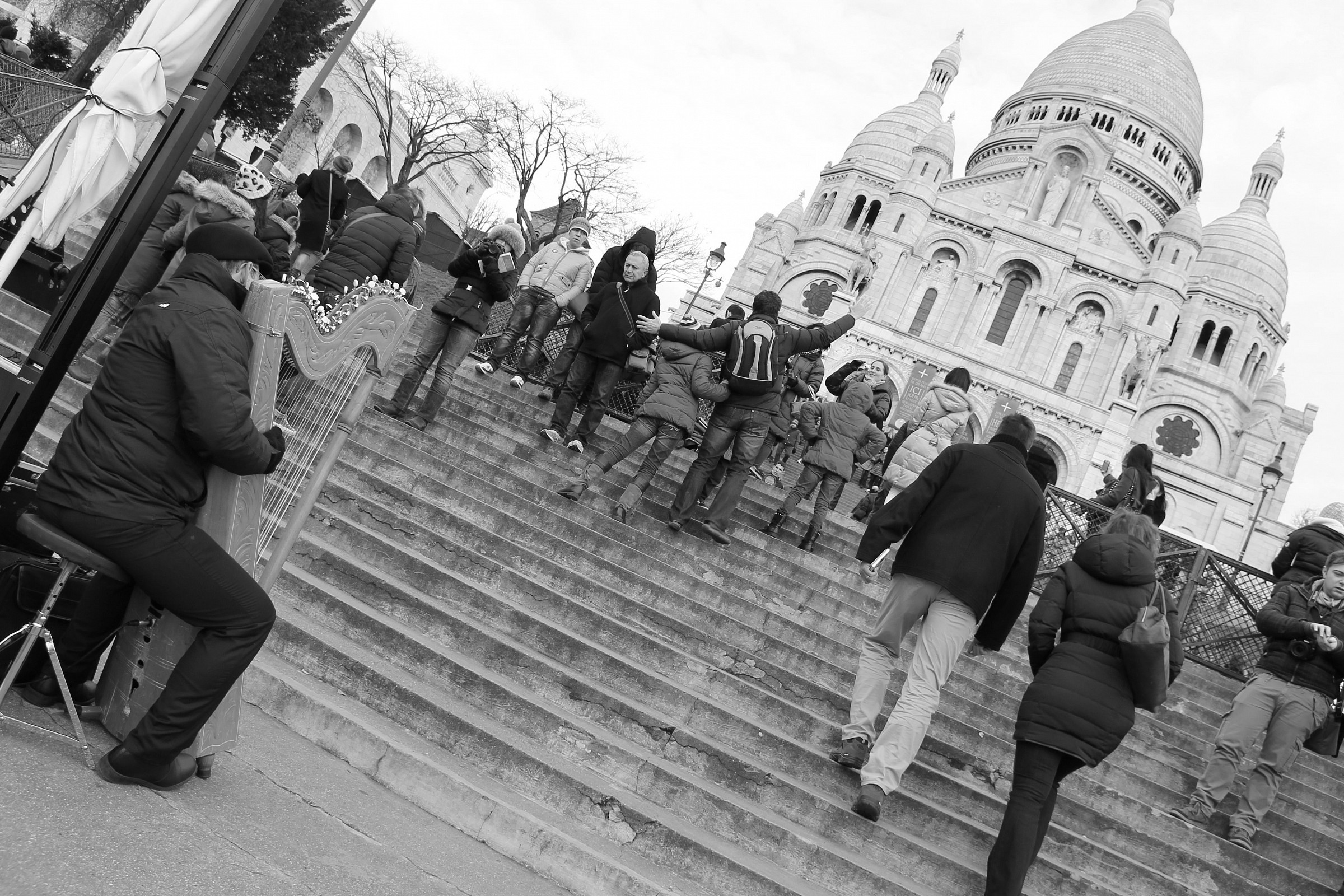 arpa sacro cuore b&n