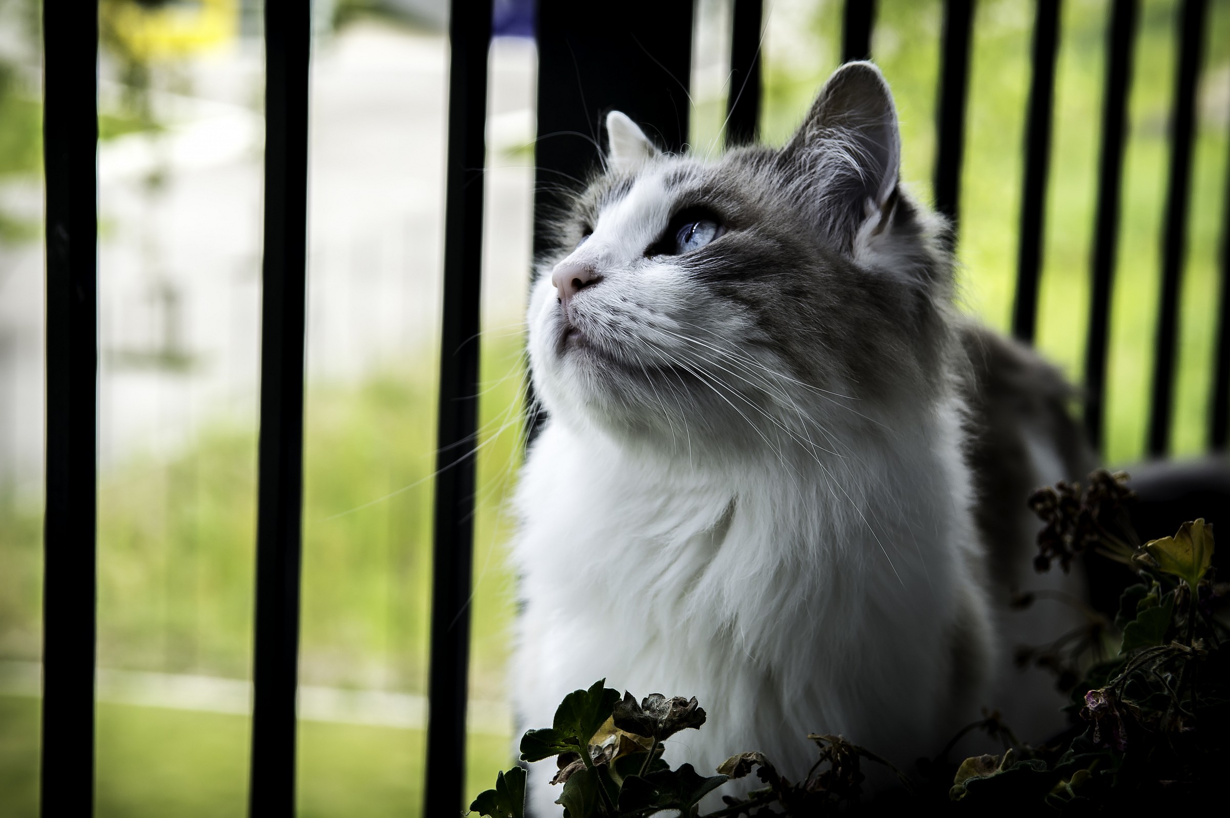 Vediamo se piove anche oggi...