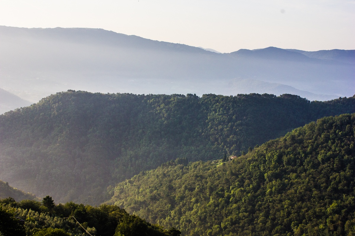 View from Migliana
