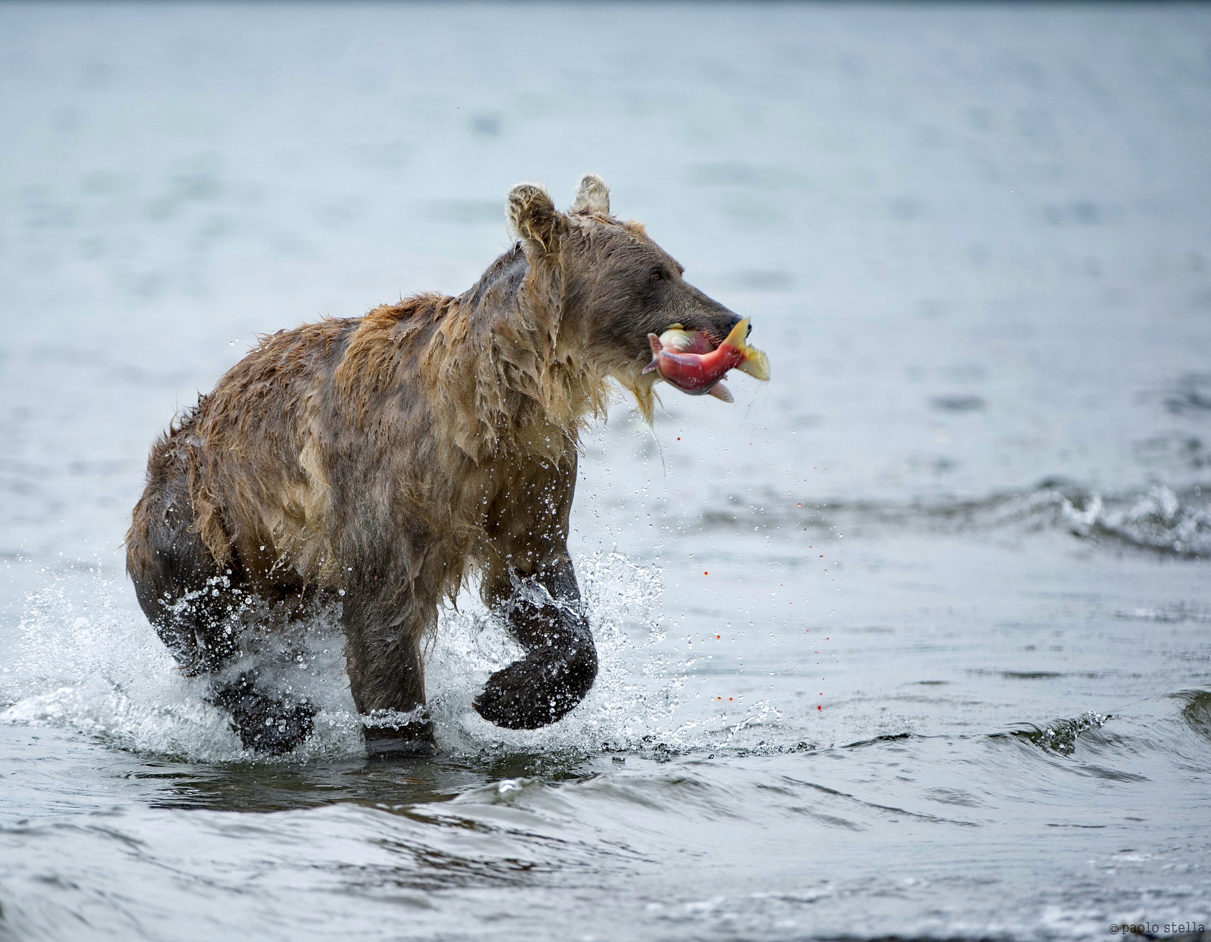 di corsa verso la riva