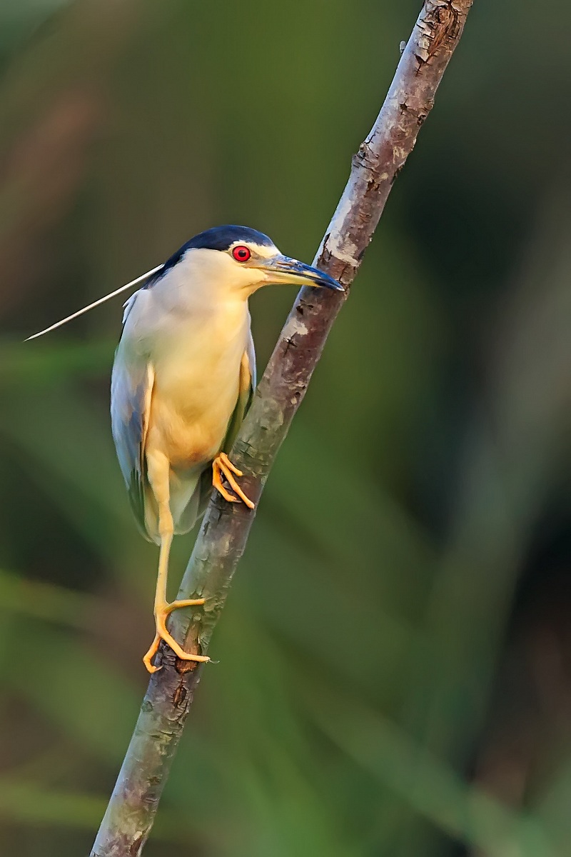 L'ultimo raggio di sole