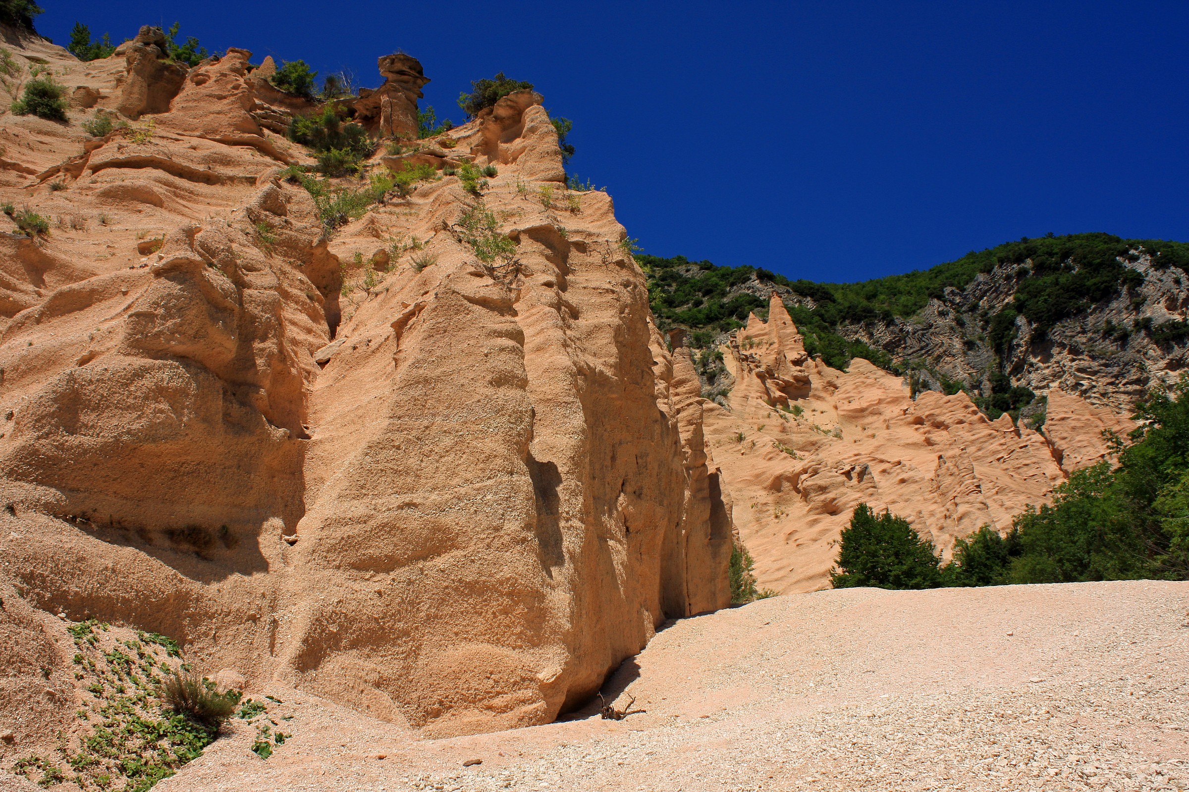 Lame Rosse