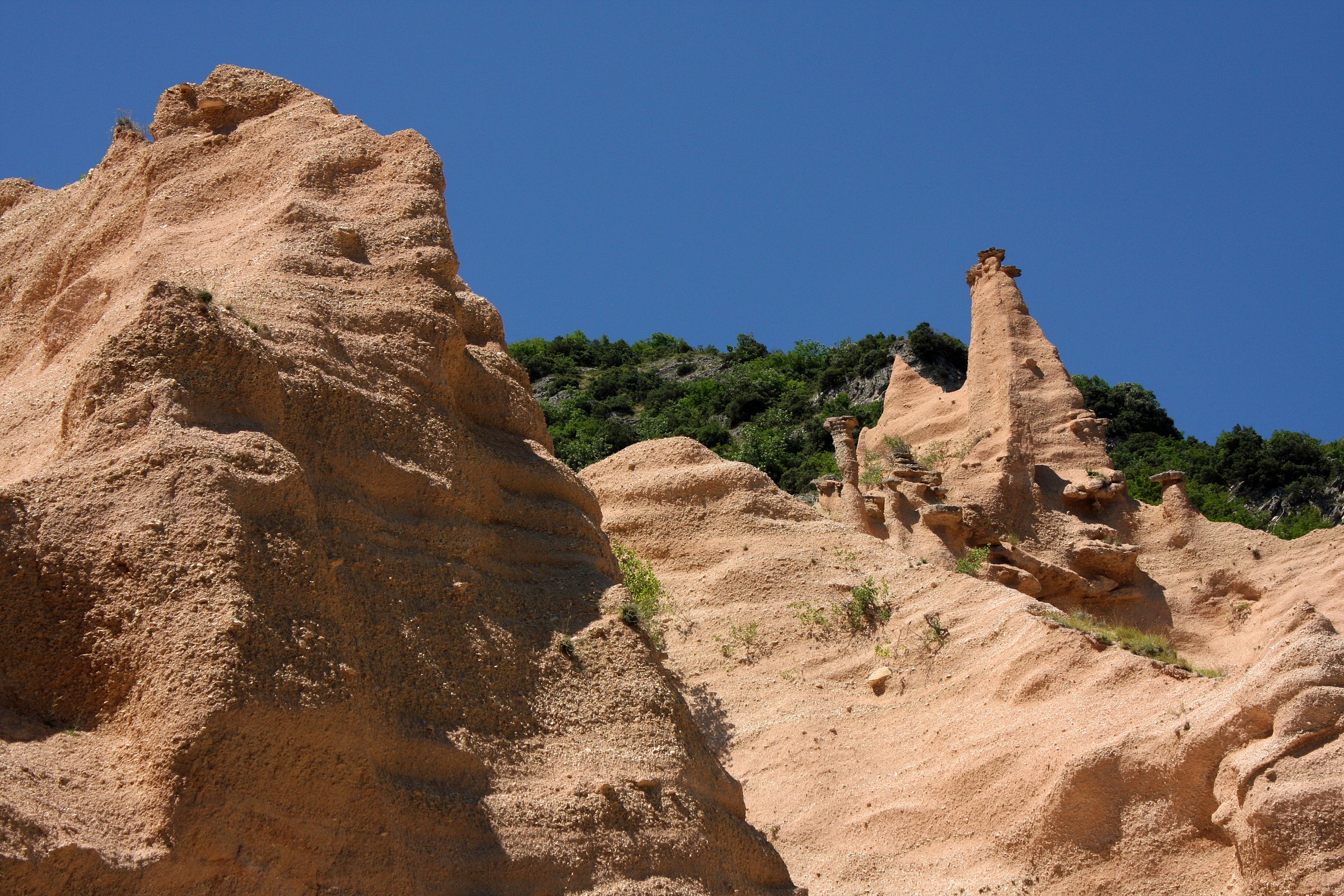 Lame Rosse